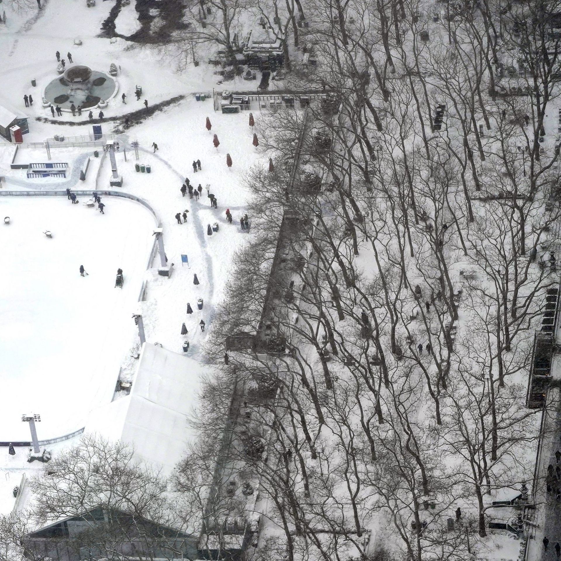 Tempête : Boston sous 60 cm de neige, un record
