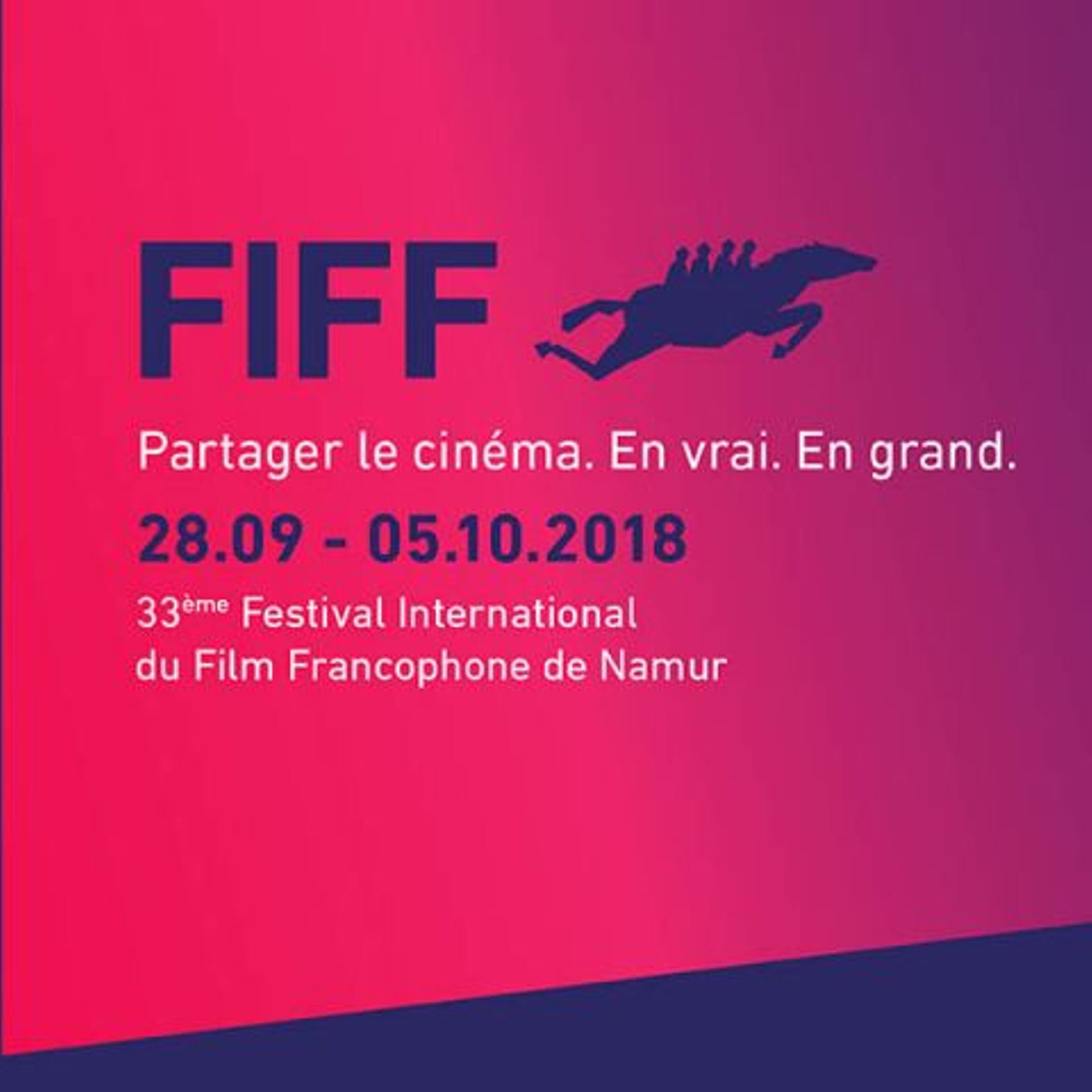 33eme édition du Festival international du Film Francophone de Namur -  