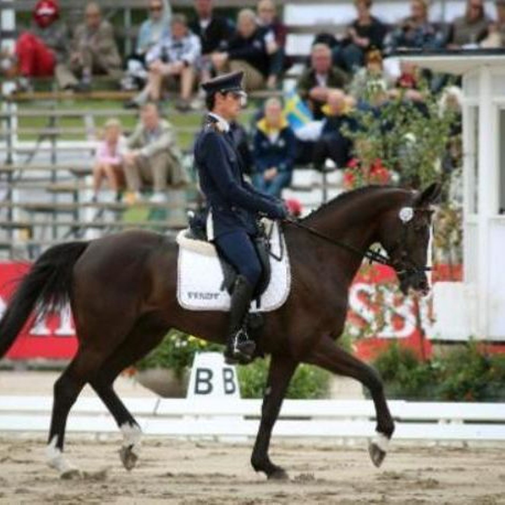Equitation : Le sport équestre belge souffre et appelle à l'aide 