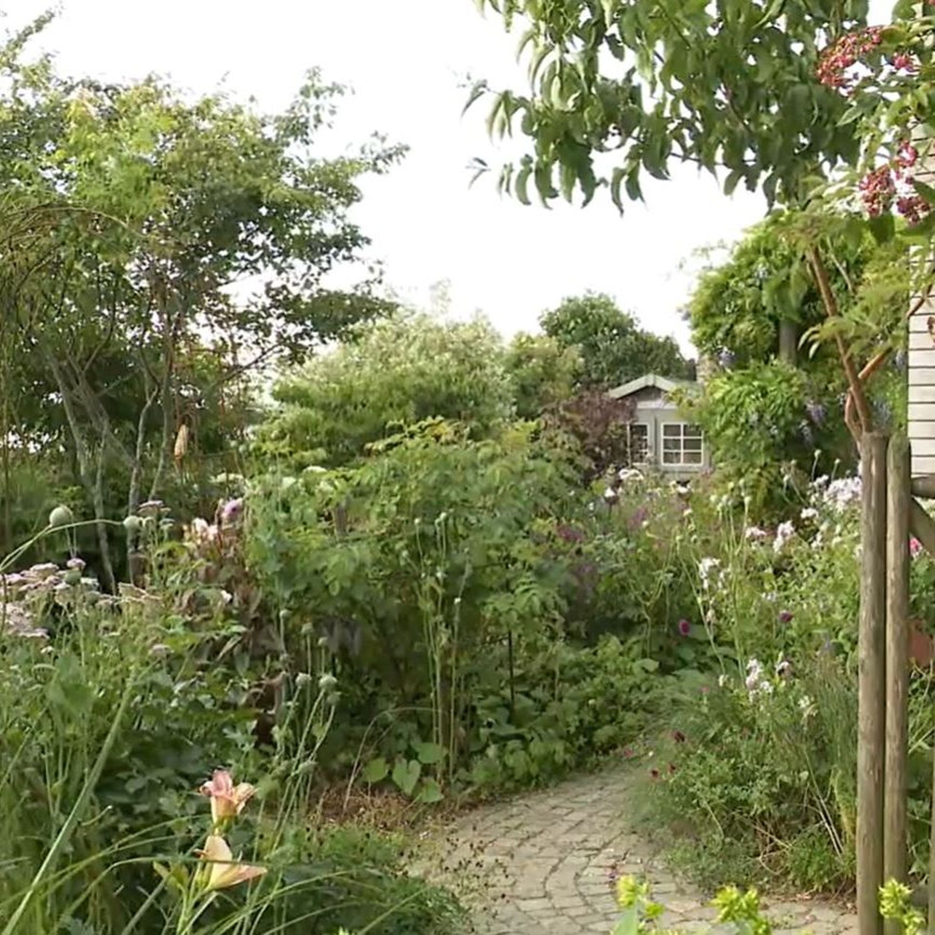 Les jardins de Malorie : un jardin où les rosiers et les vivaces sont rois  - RTBF Actus