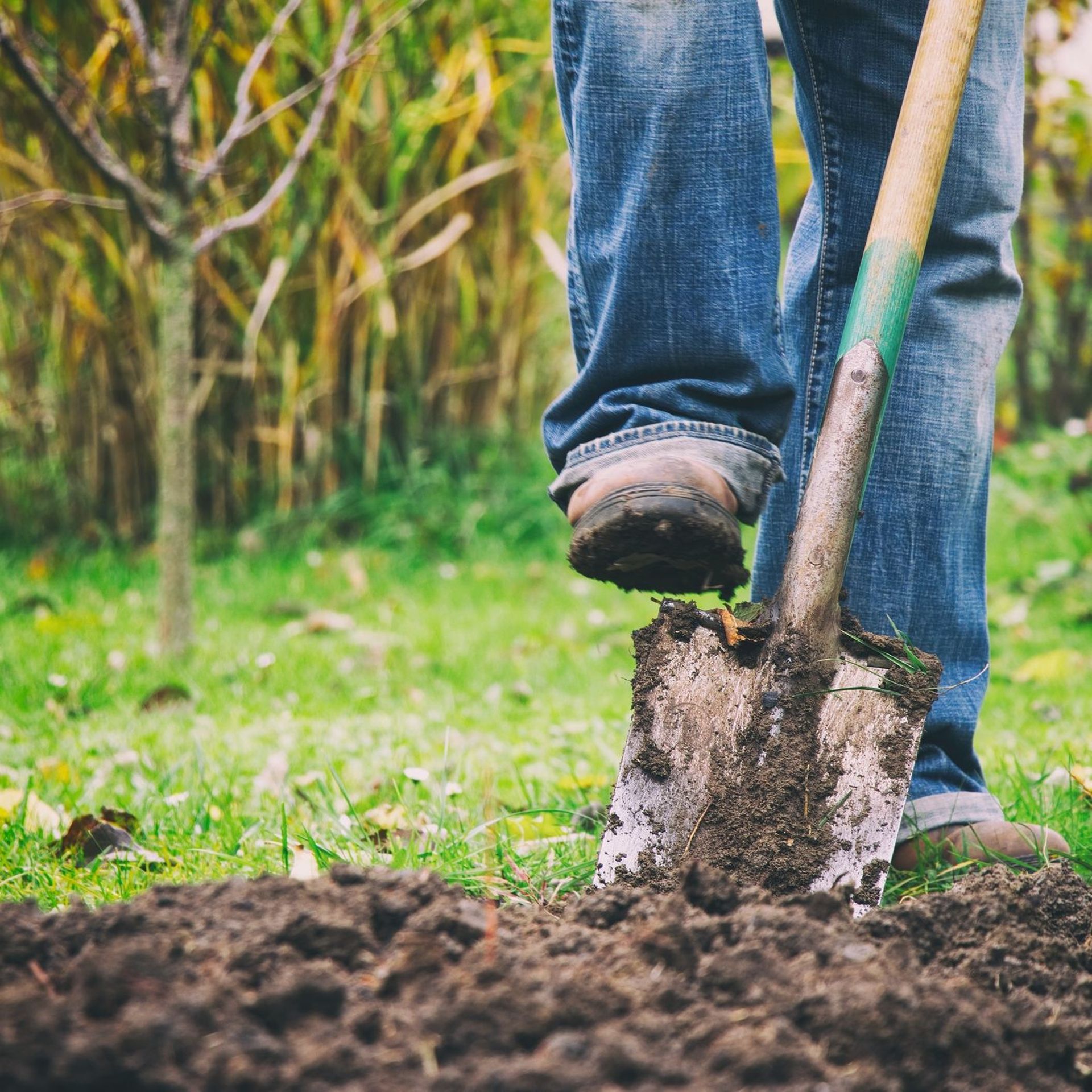 Choisir sa Grelinette - Conseils pour l'Achat d'Outils de Jardinage