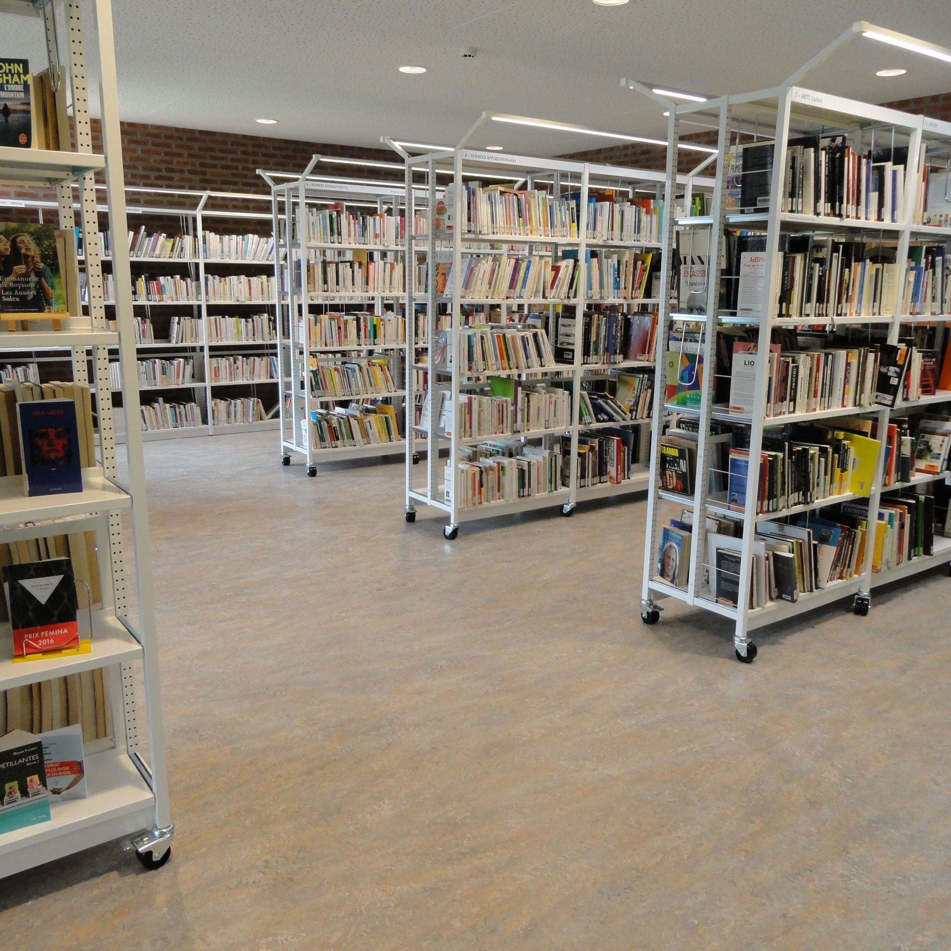 Les vertus de la lecture en temps de confinement : comment se ravitailler  en livres quand les librairies et les bibliothèques sont fermées
