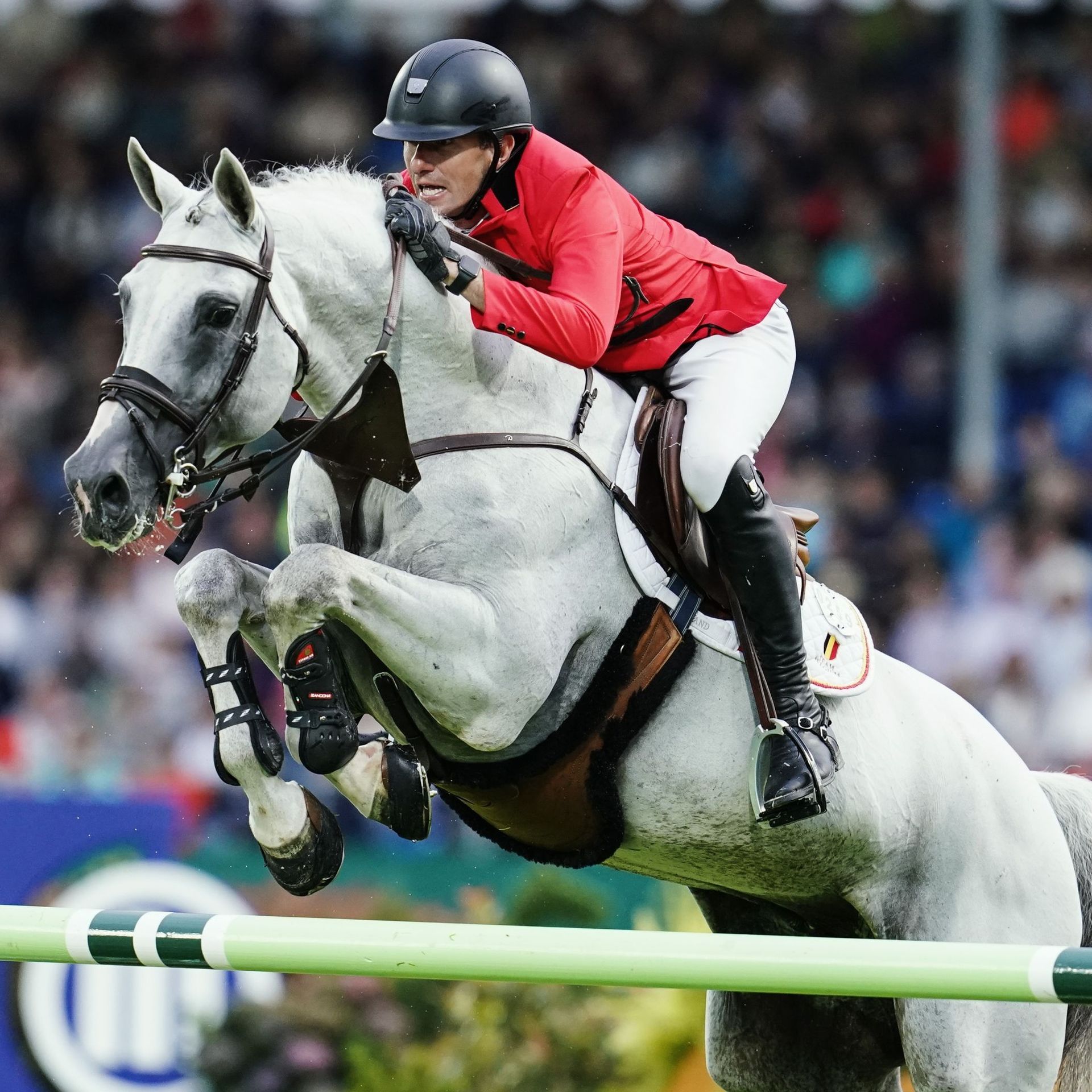 Equitation : Le sport équestre belge souffre et appelle à l'aide 