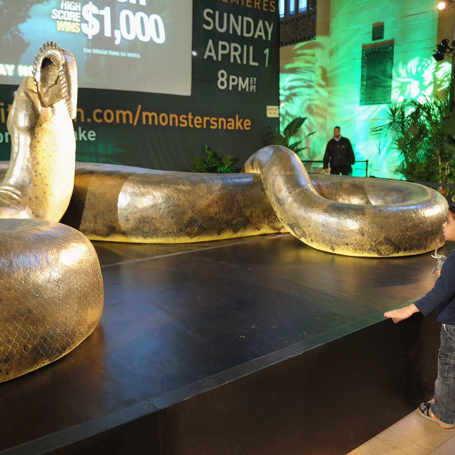 le plus gros serpent jamais capturé et tué