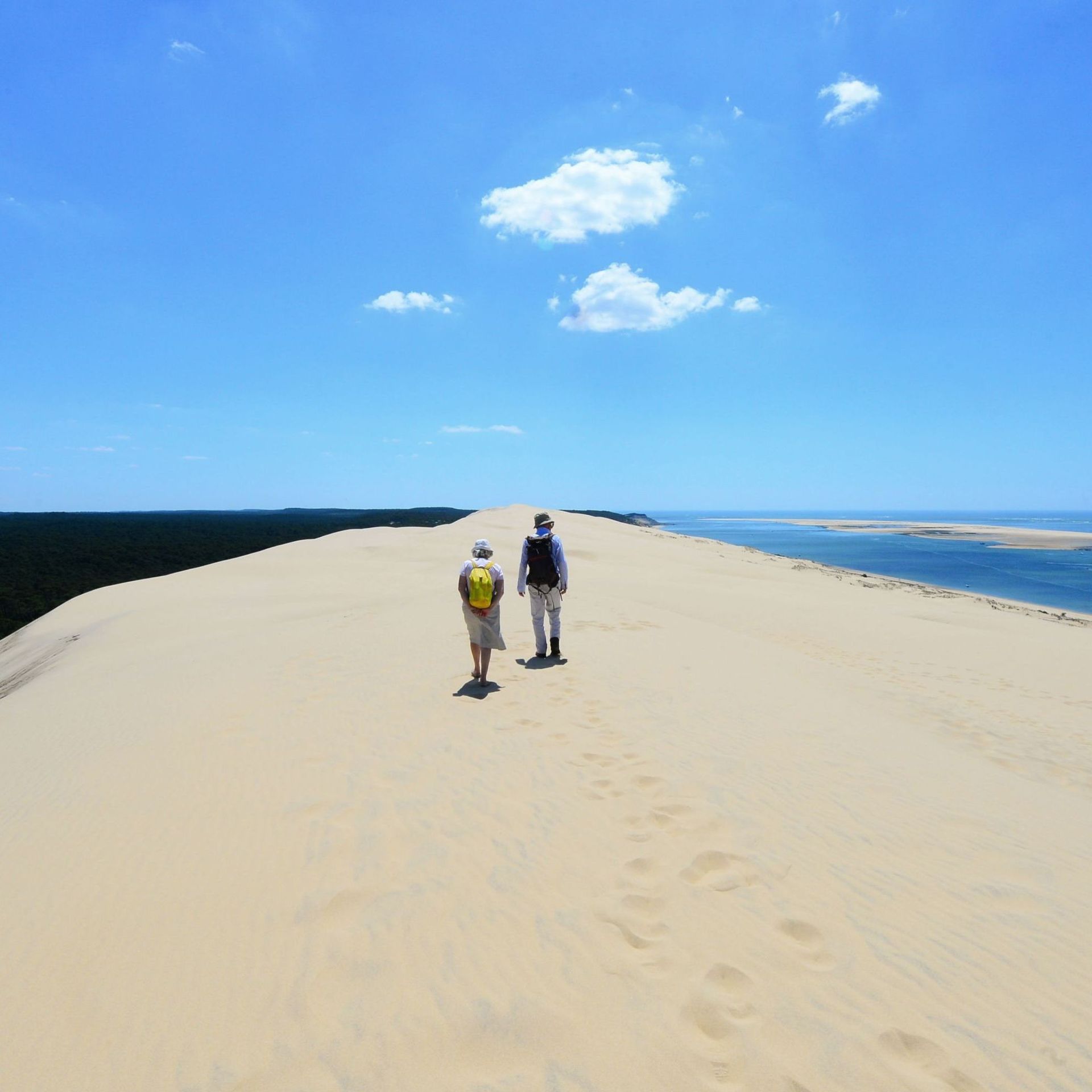 France la dune du pilat plus haute dune de sable d Europe a