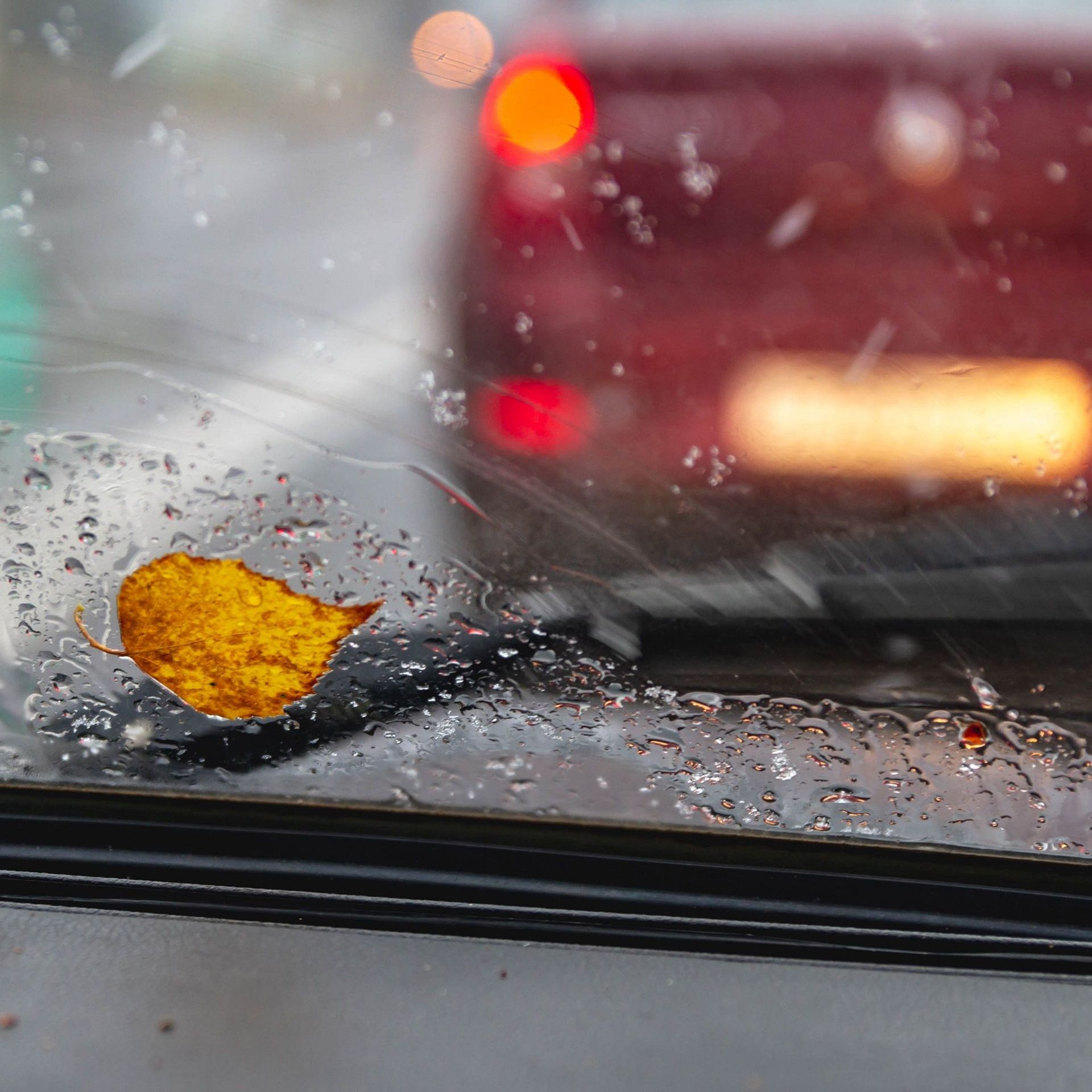 Conduite sous la pluie : quelques trucs pour rouler en sécurité, Blogue