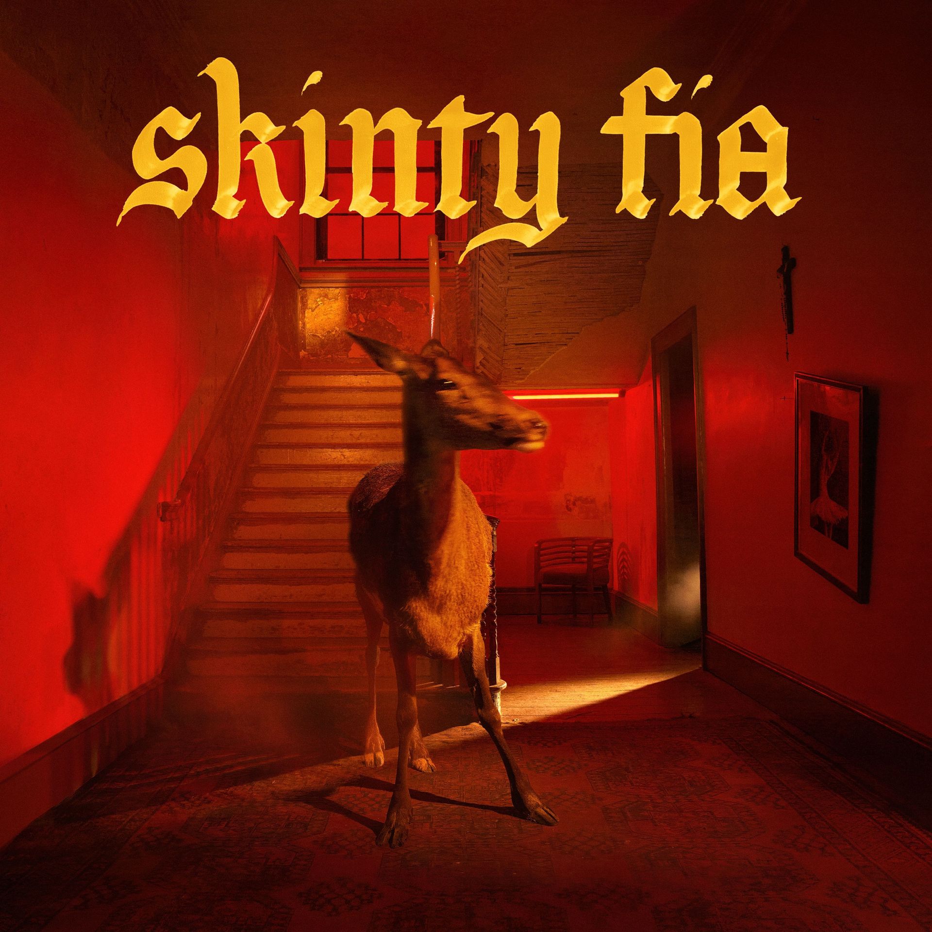 "Skinty Fia" est une manière de jurer en gaélique que l’on pourrait traduire par "la damnation du cerf".