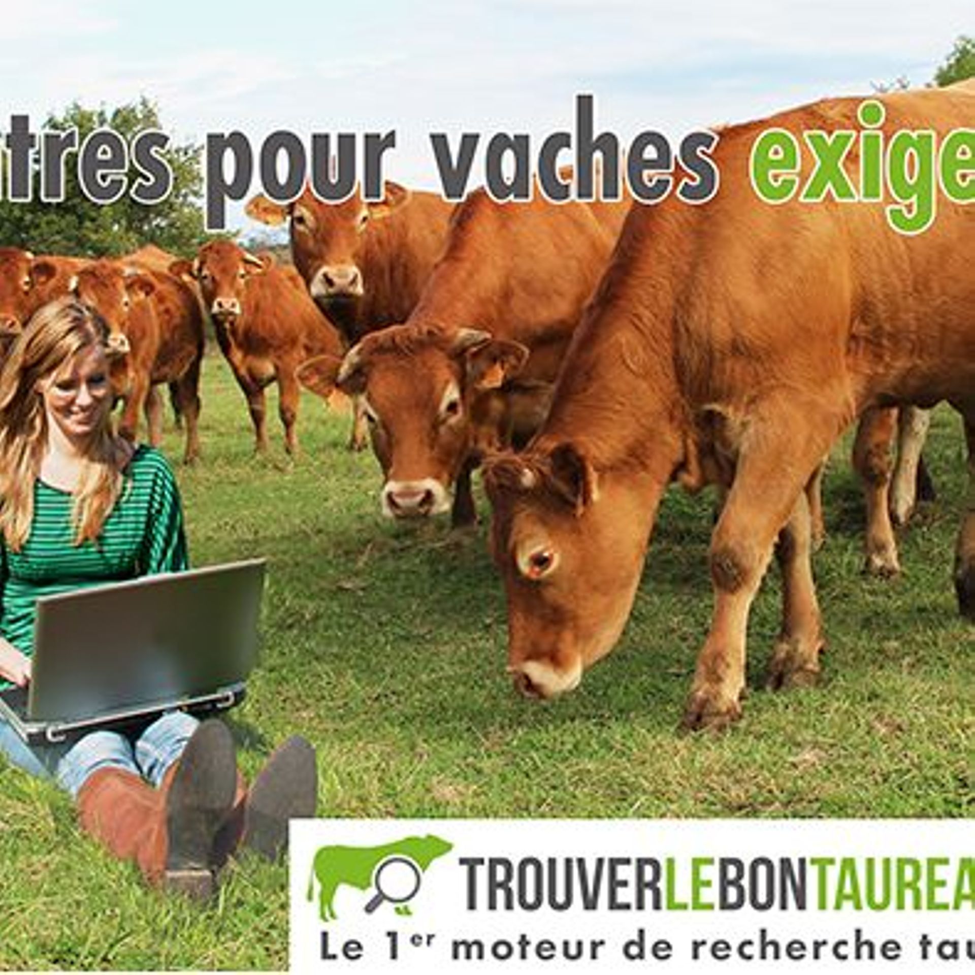 les rencontres de la vache