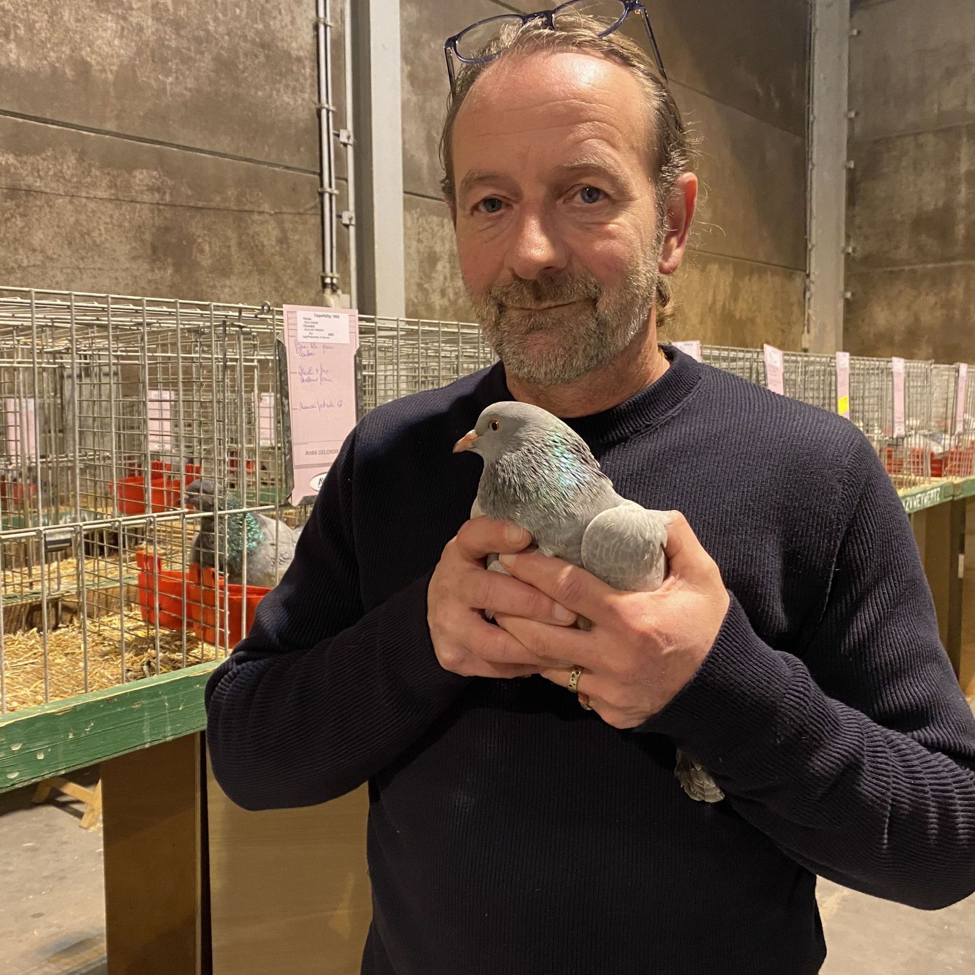 Poules, pigeons et lapins à Battice : qui est le plus beau ? 