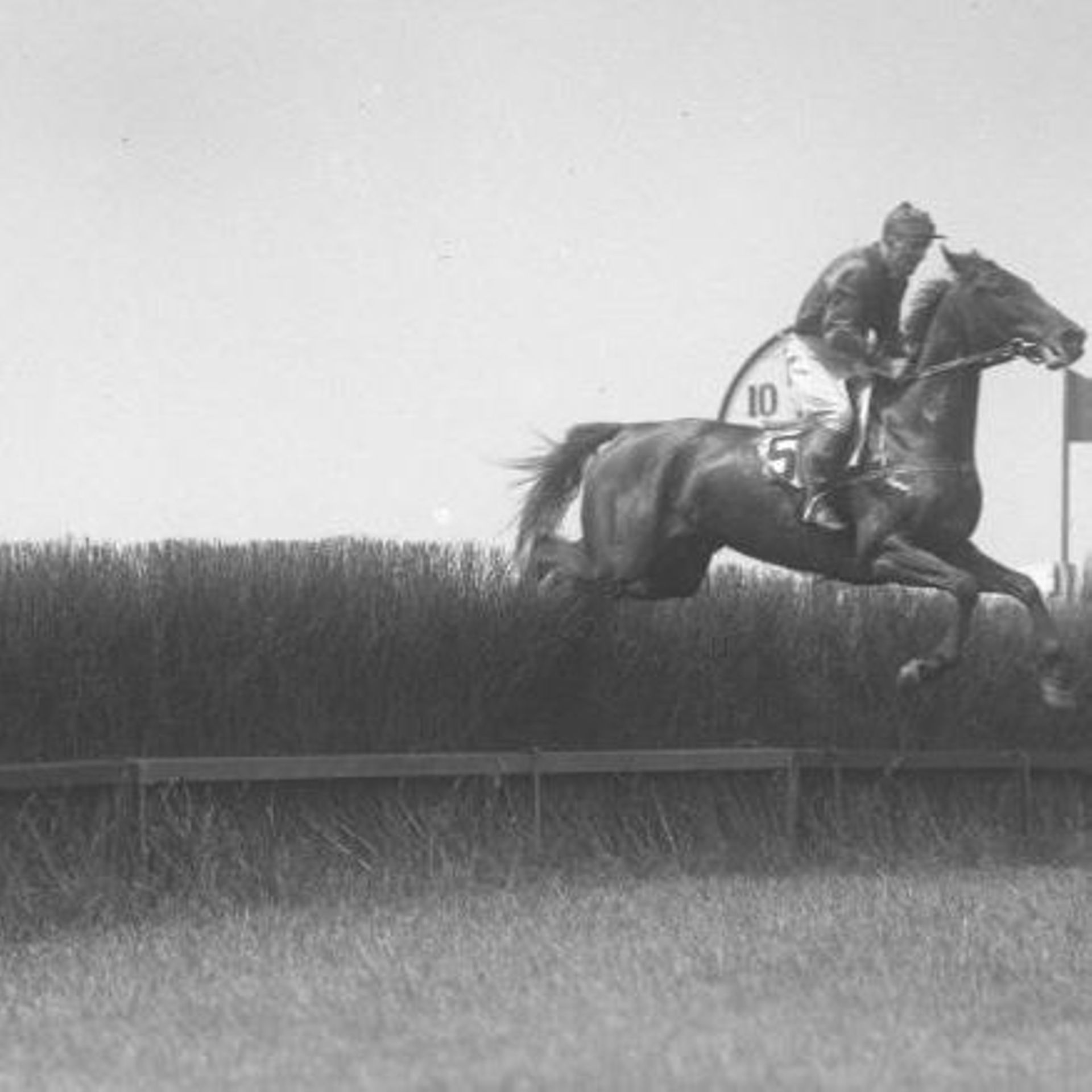 La minute insolite : ce jockey a gagné une course après son décès - RTBF  Actus