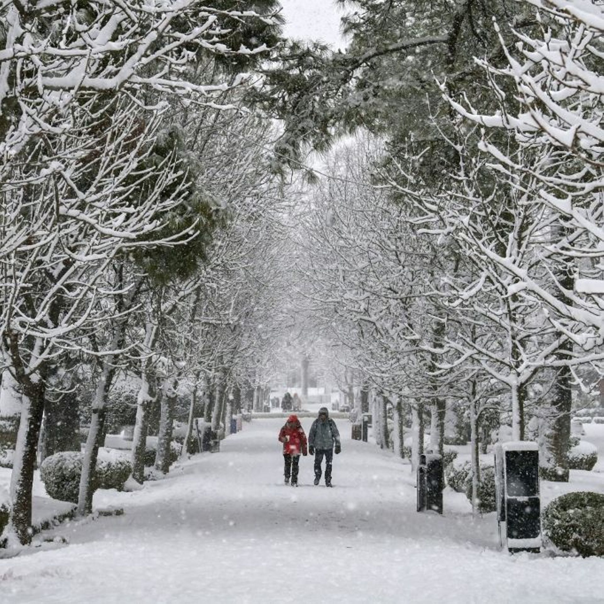 Une rue d'Athène sous la neige, lundi 24 janvier 2022