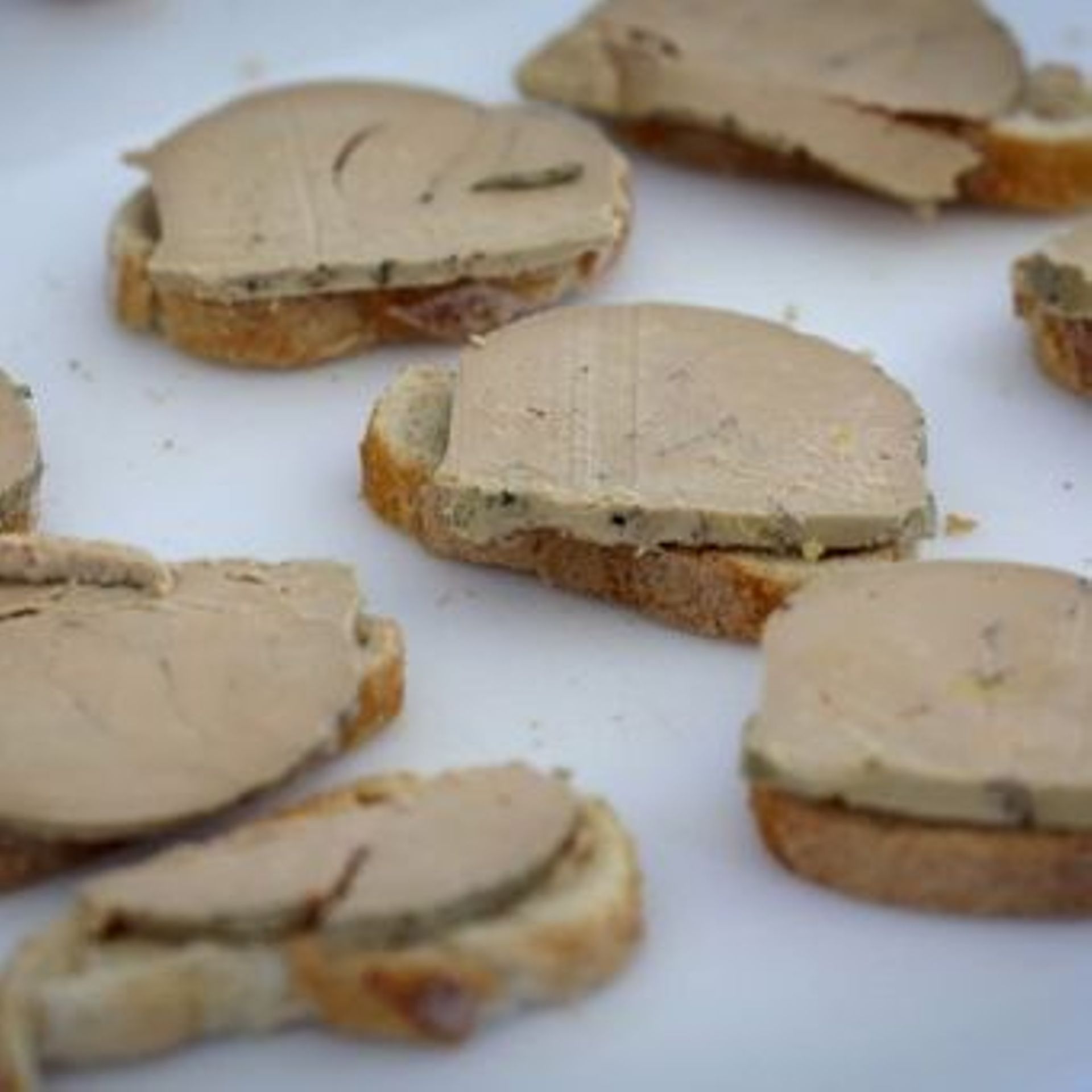 Gaïa attaque la Région wallonne en justice concernant la pratique du gavage  des oies et des canards pour la production de foie gras 