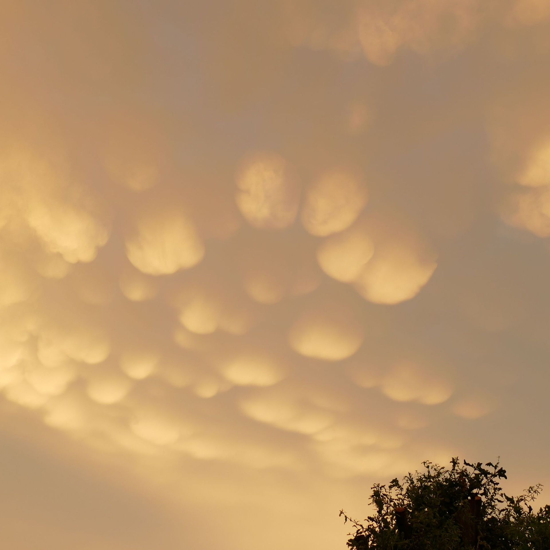 Phénomène météo extraordinaire : les étranges nuages de type mammatus dans  le ciel de l'été !