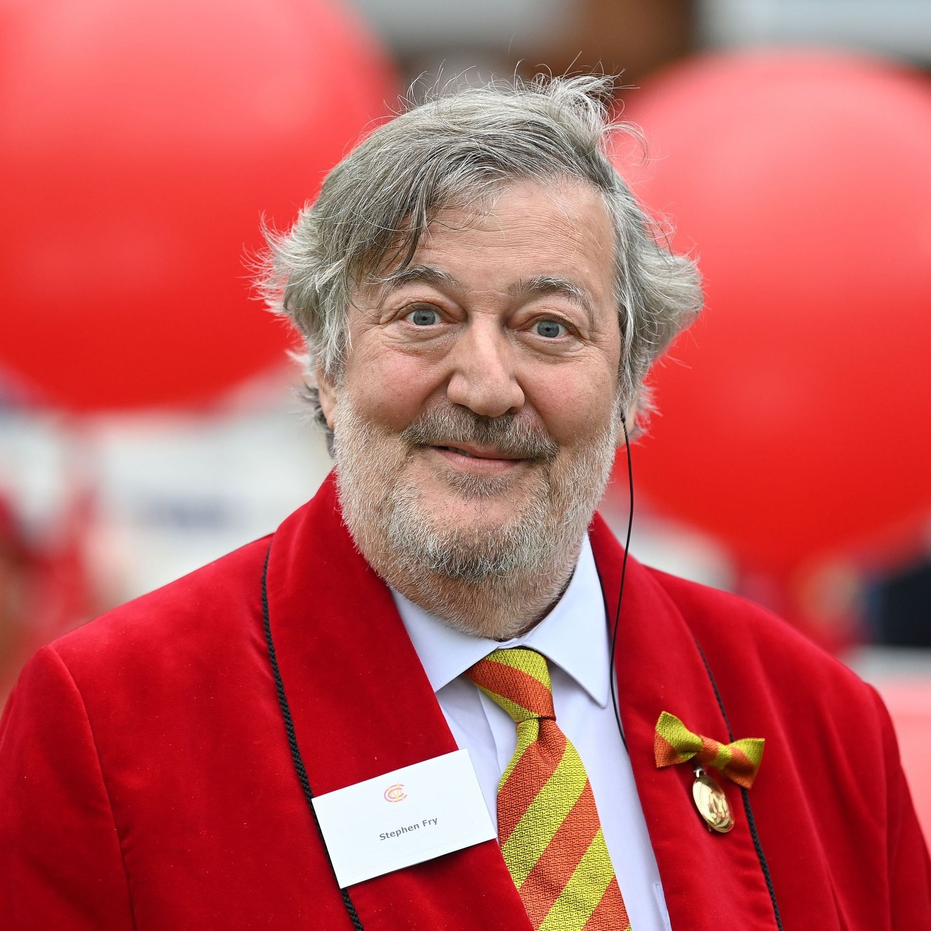 Stephen Fry, narrateur dHarry Potter : sa voix reproduite par une IA et  utilisée à son insu - RTBF Actus