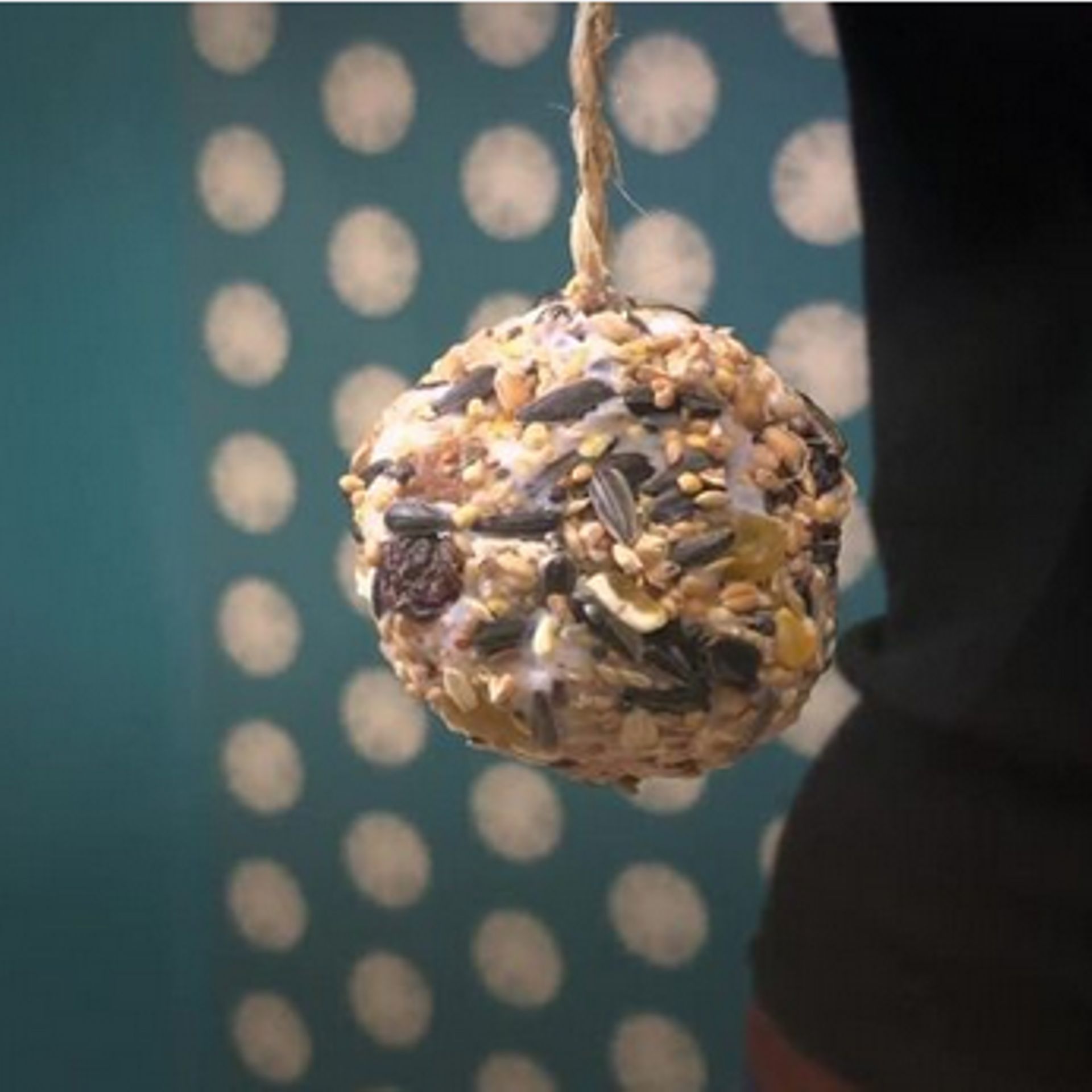 Comment fabriquer une boule de graisse pour les oiseaux ? // DIY Nature -  RDVLudique