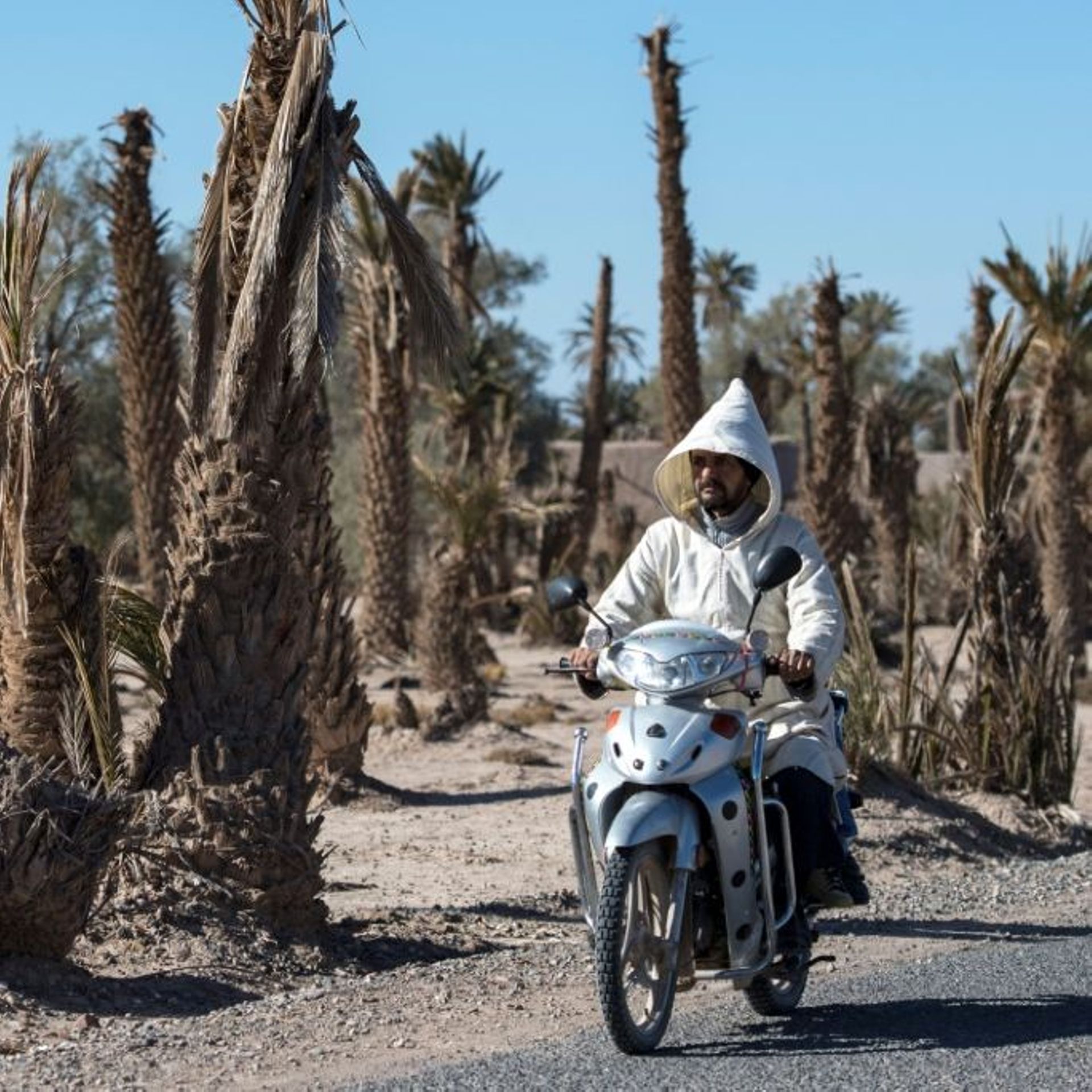 Maroc : une nouvelle vague de chaleur provoque la mort de 21 personnes en  24 heures - RTBF Actus