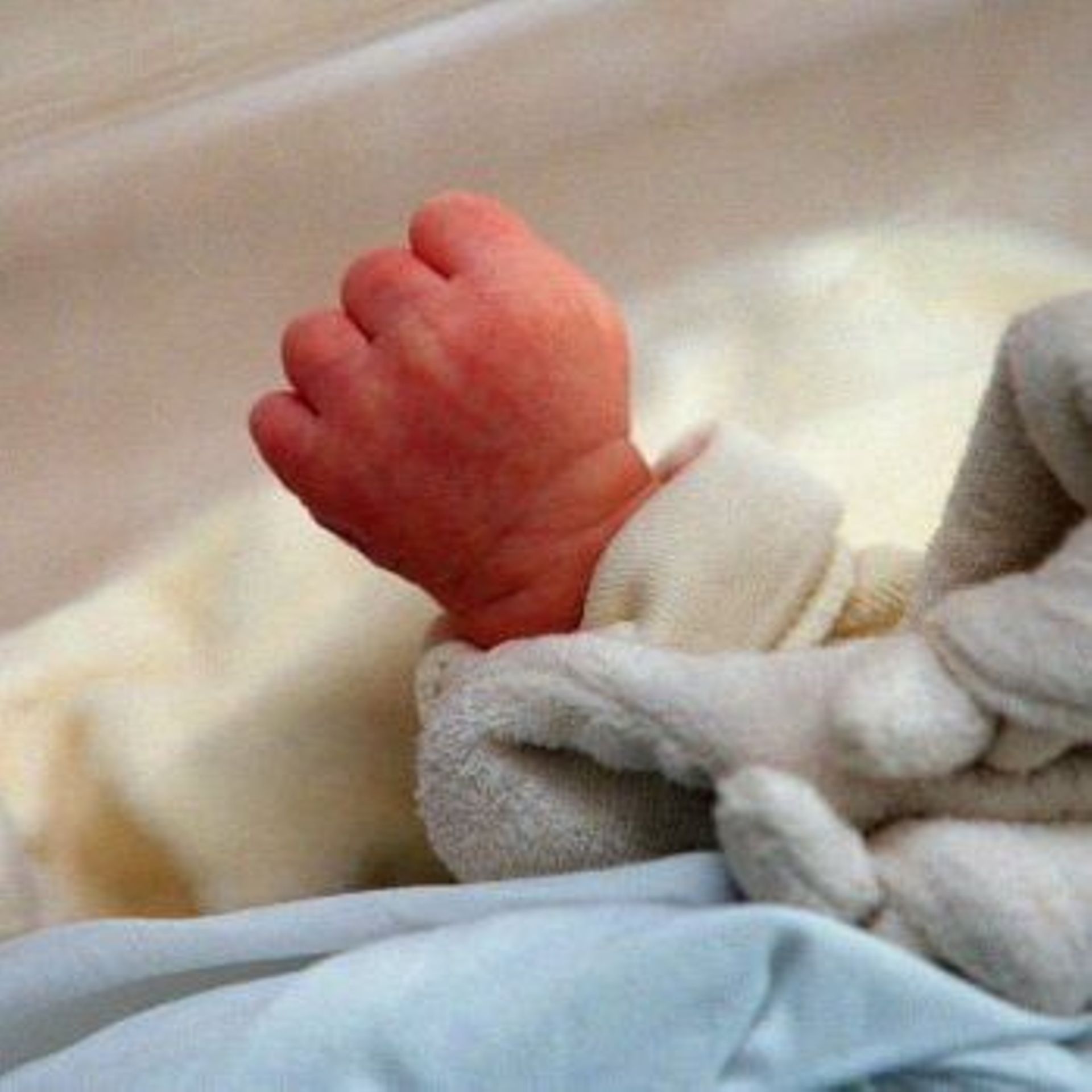 Des 5 Mois Les Nourrissons Ont Un Etat De Conscience Similaire Aux Adultes Rtbf Be