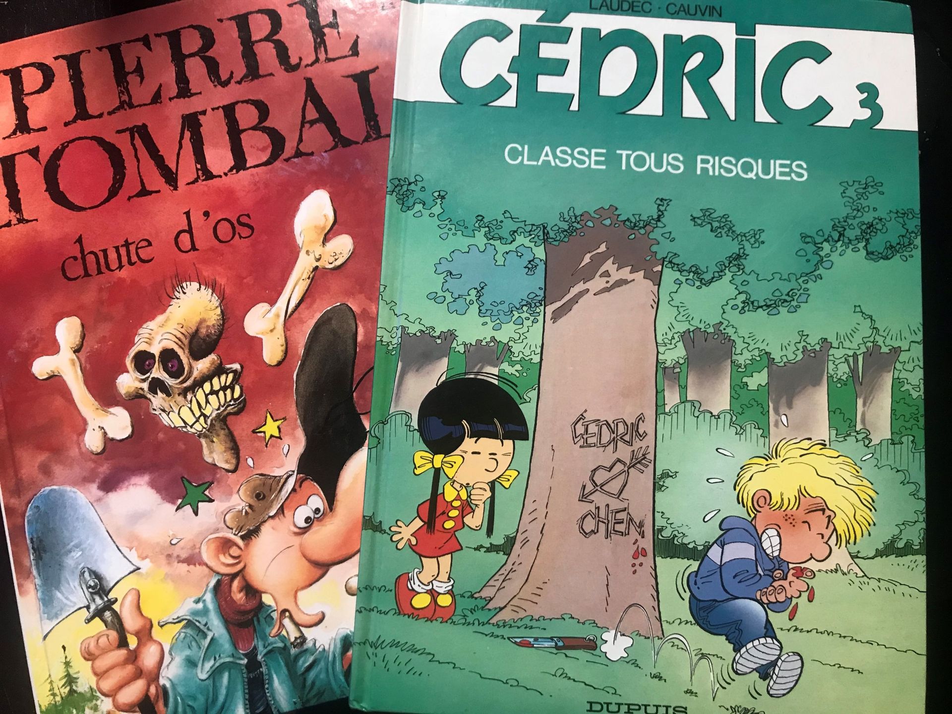 Cédric et Pierre Tombal, des titres à succès de Raoul Cauvin