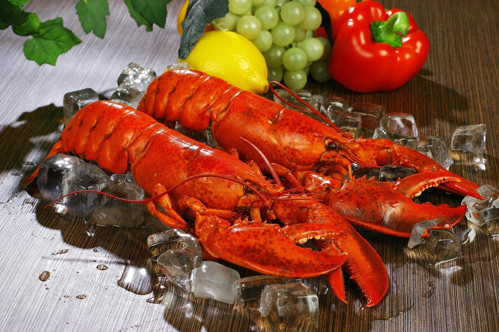 Cuire et décortiquer un homard - Glossaire culinaire