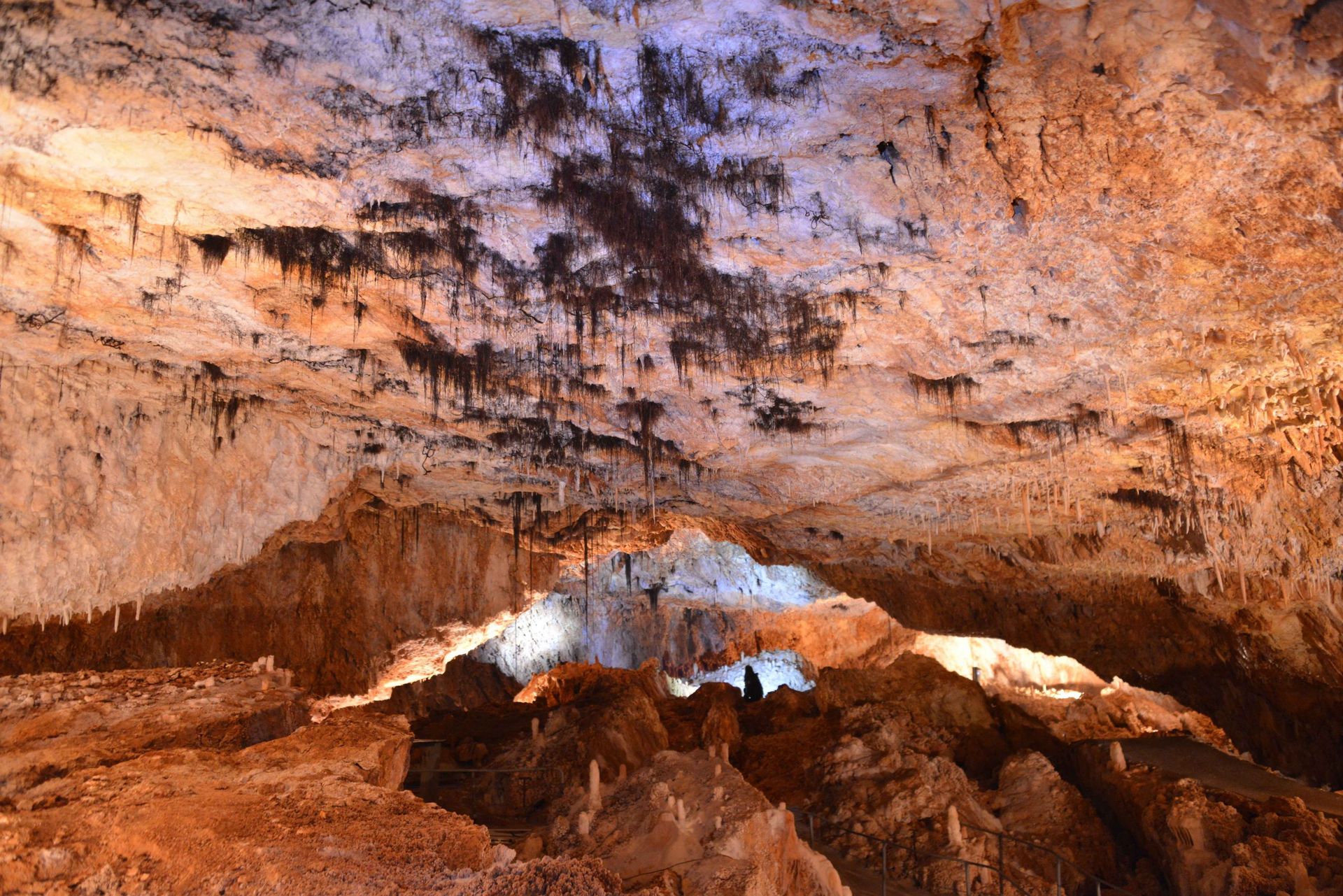L’Aven-Grotte Forestière