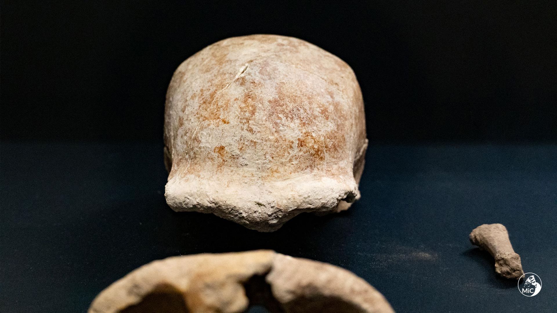 Détail des reste néandertaliens retrouvés entre Rome et Naples