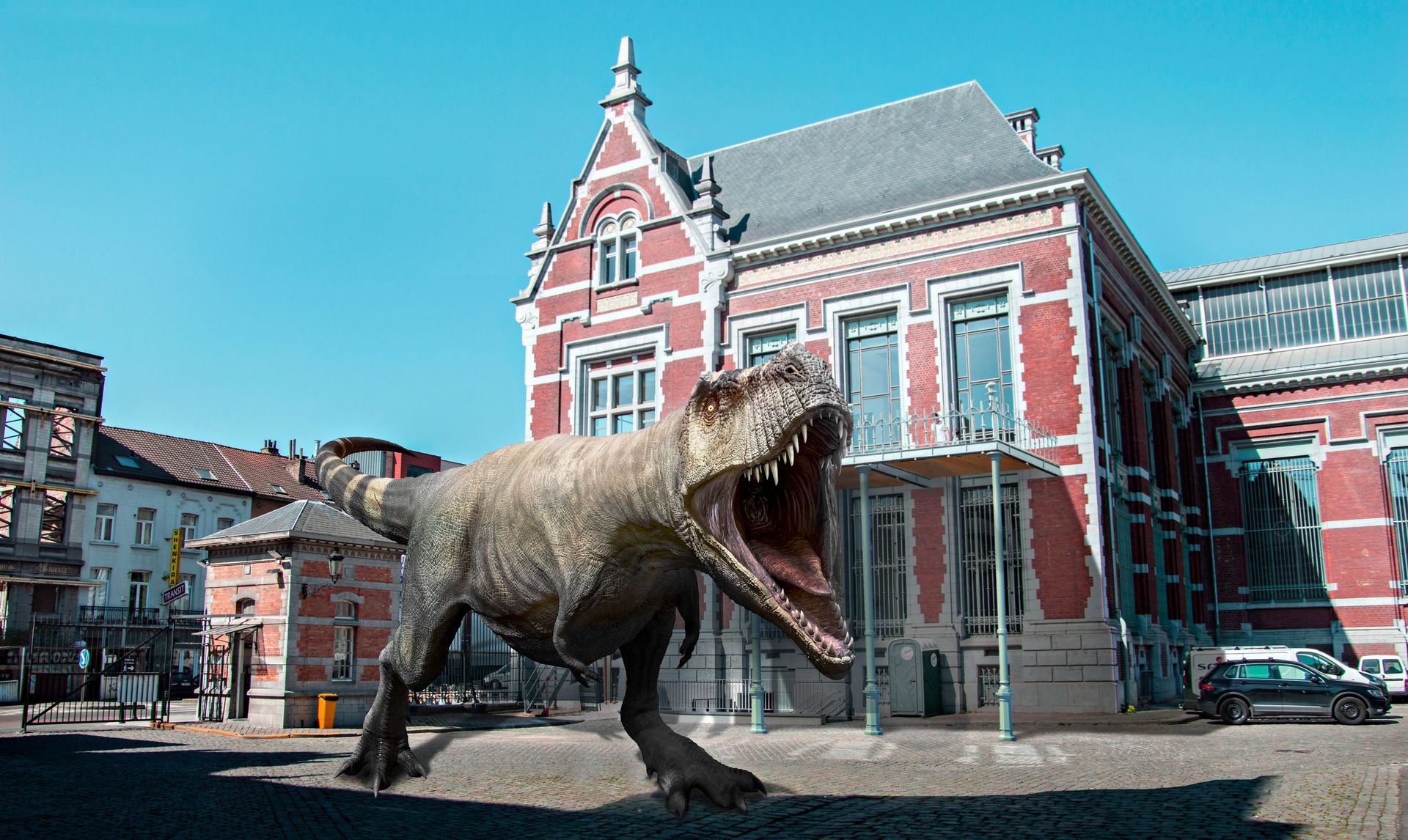 Dinosaure Volant - Retours Gratuits Dans Les 90 Jours - Temu Belgium