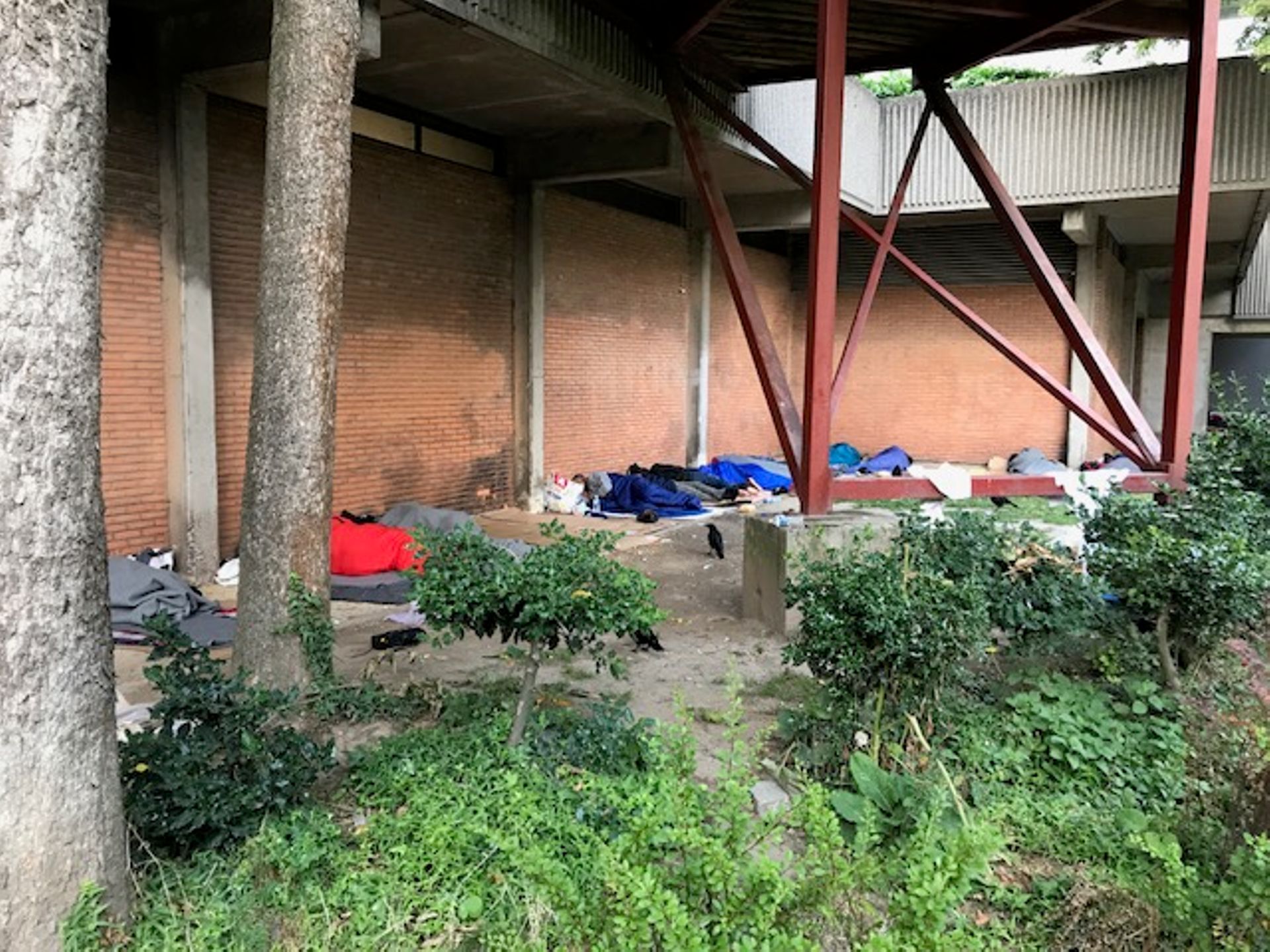 Des centaines de migrants dorment au parc Maximilien à Bruxelles