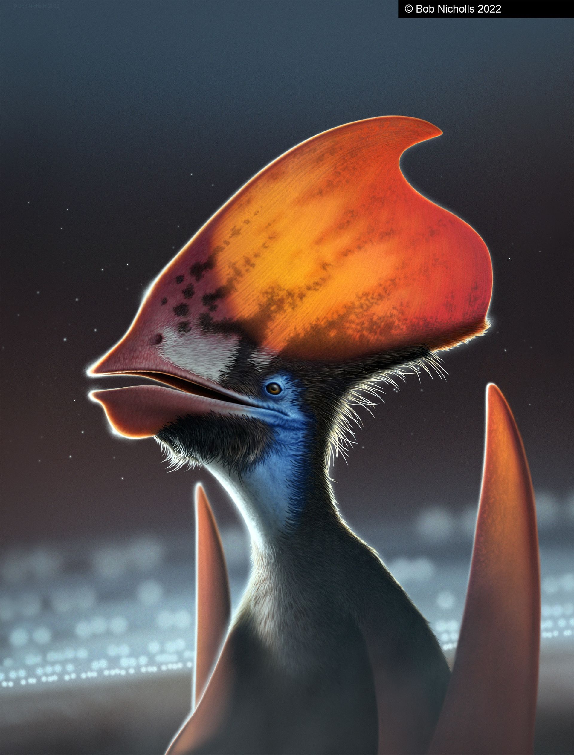 Illustration de Tupandactylus
