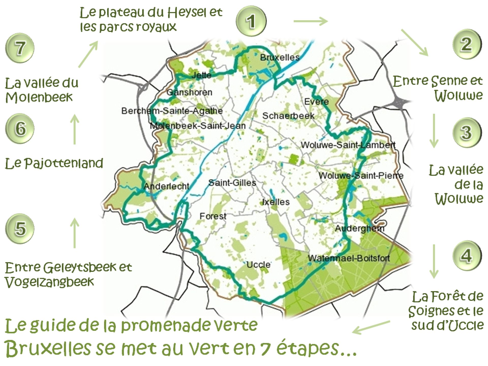  la Promenade Verte est divisé en 7 sections représentant différentes facettes des paysages de la région bruxelloise. 