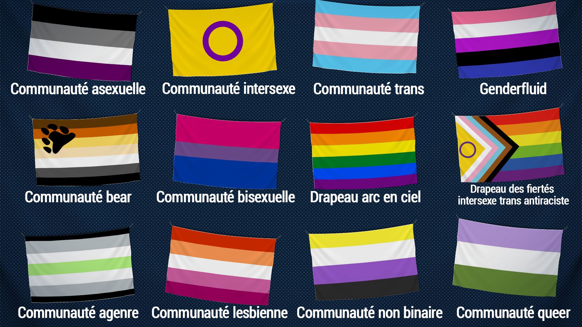 Une petite sélection de drapeaux LGBTQIA +