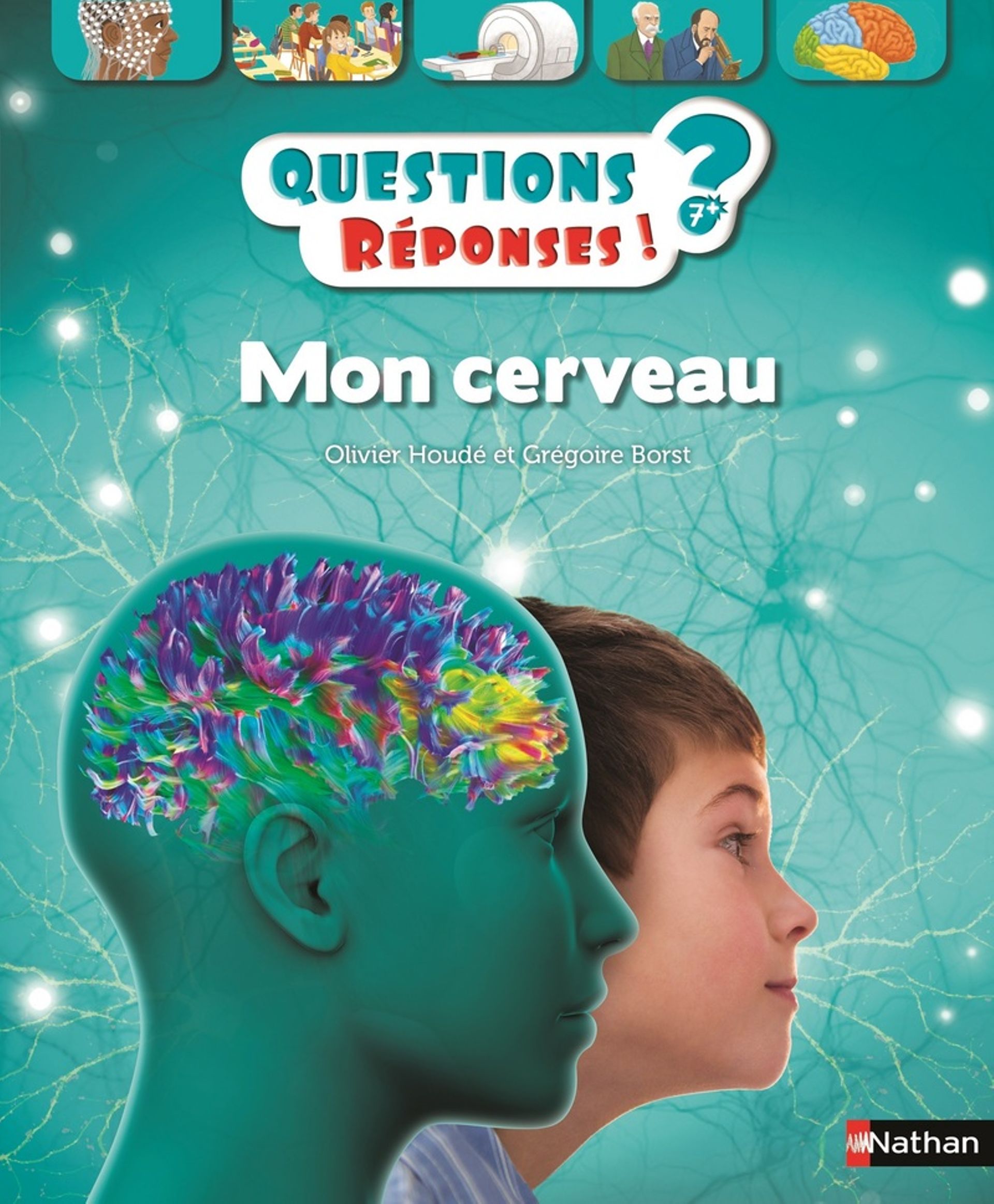 Où En Sont Nos Connaissances Sur Le Cerveau ? - RTBF Actus