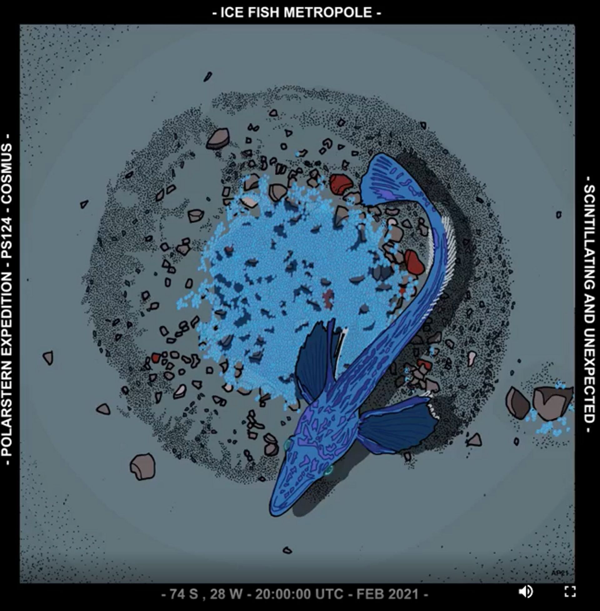 Dessin d'un nid de poisson des glaces de Jonah, parue dans la revue Current biology 
