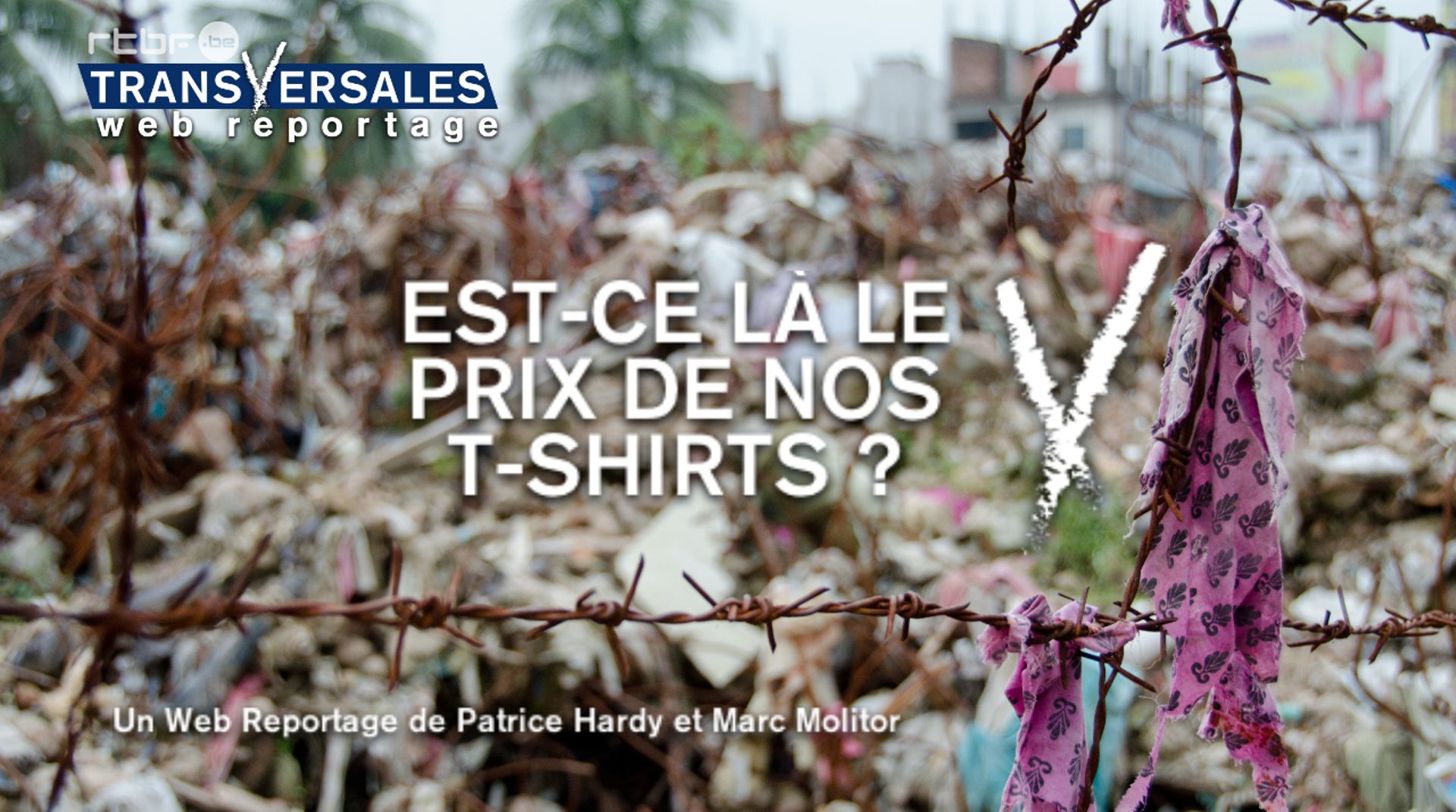 Ceci n'est pas le lien vers le Web reportage 