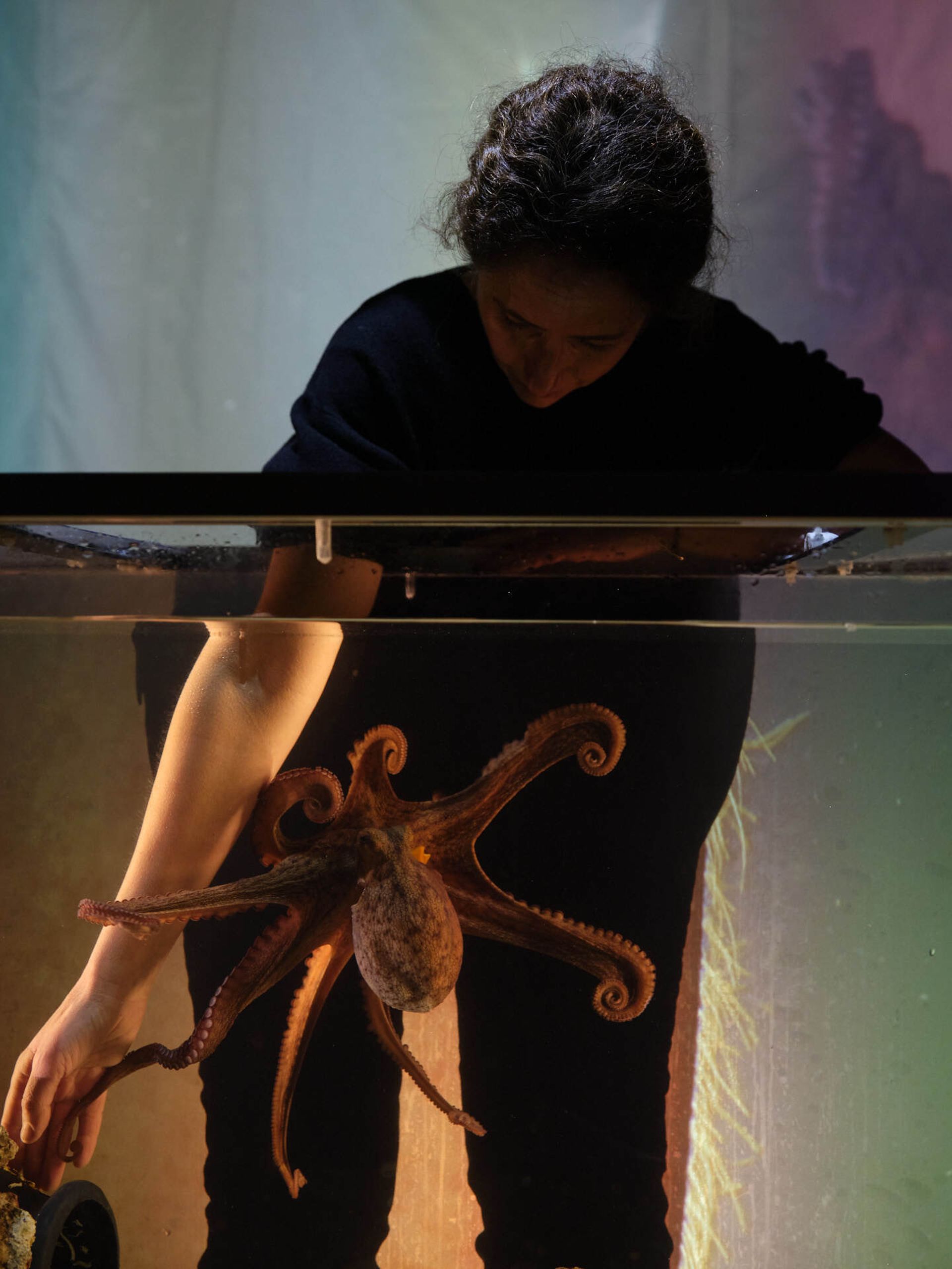 Spectacle "Temple du présent, solo pour Octopus" par le NT Gent à voir en ligne.