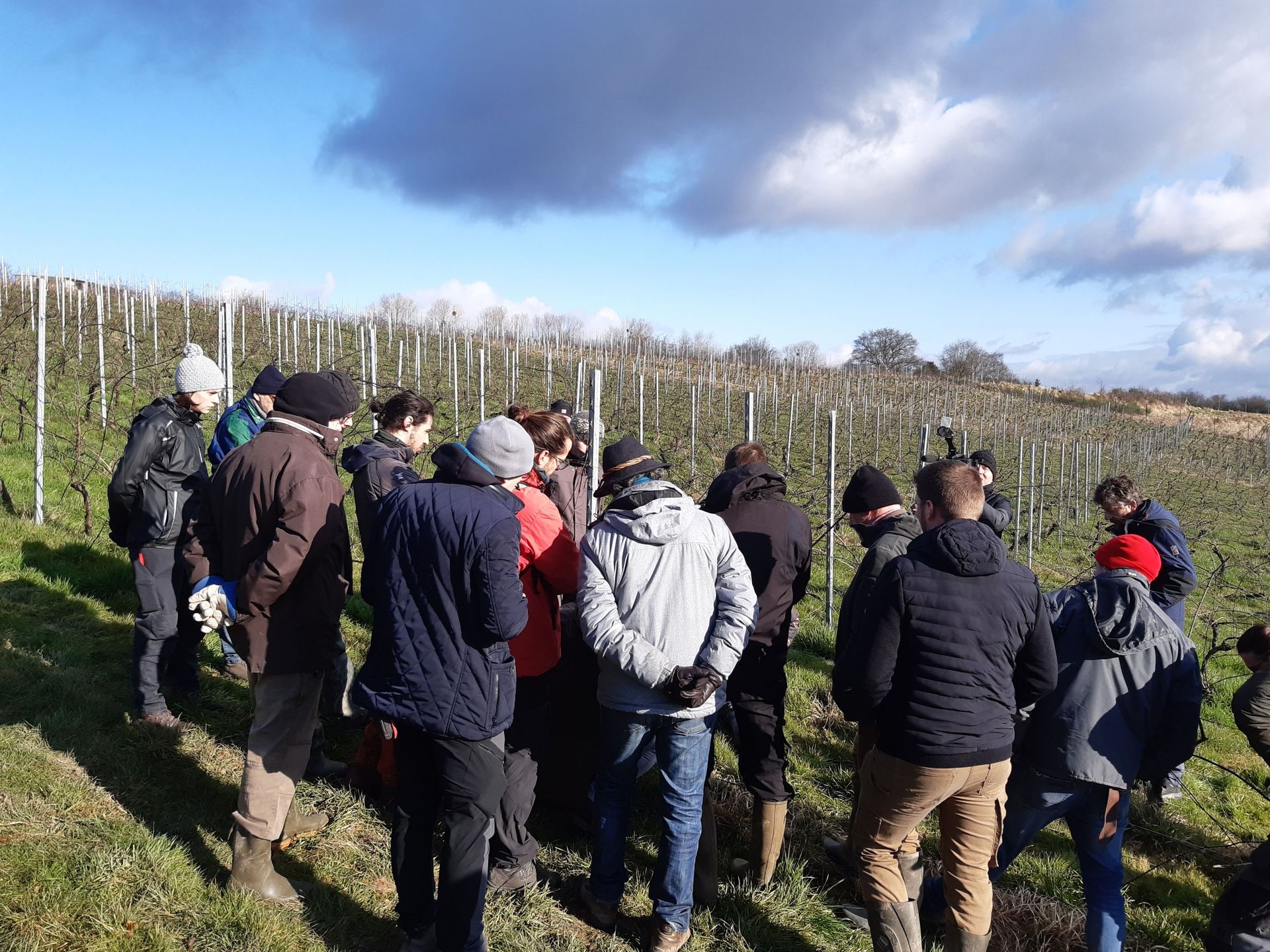 Les vignerons de la Province de Liège en formation écoutent attentivement les conseils partagés.