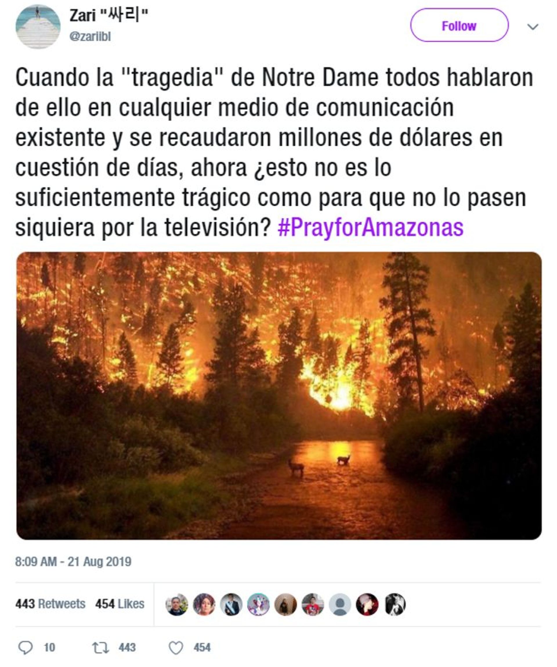 Images, causes, effets, ampleur réelle,...: démêlez le vrai du faux sur les incendies en Amazonie