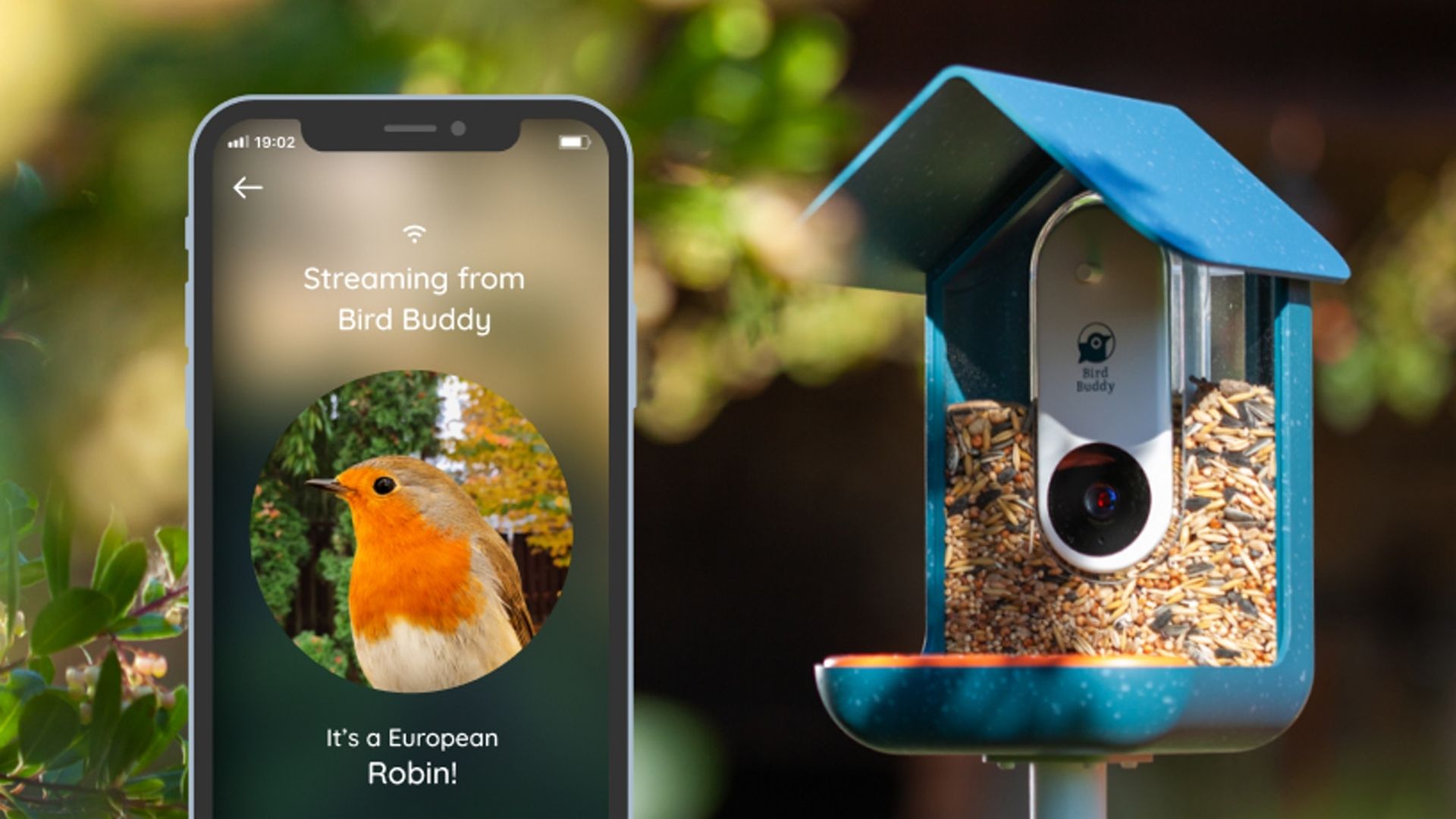 Une mangeoire connectée pour mieux photographier les oiseaux de votre  jardin 