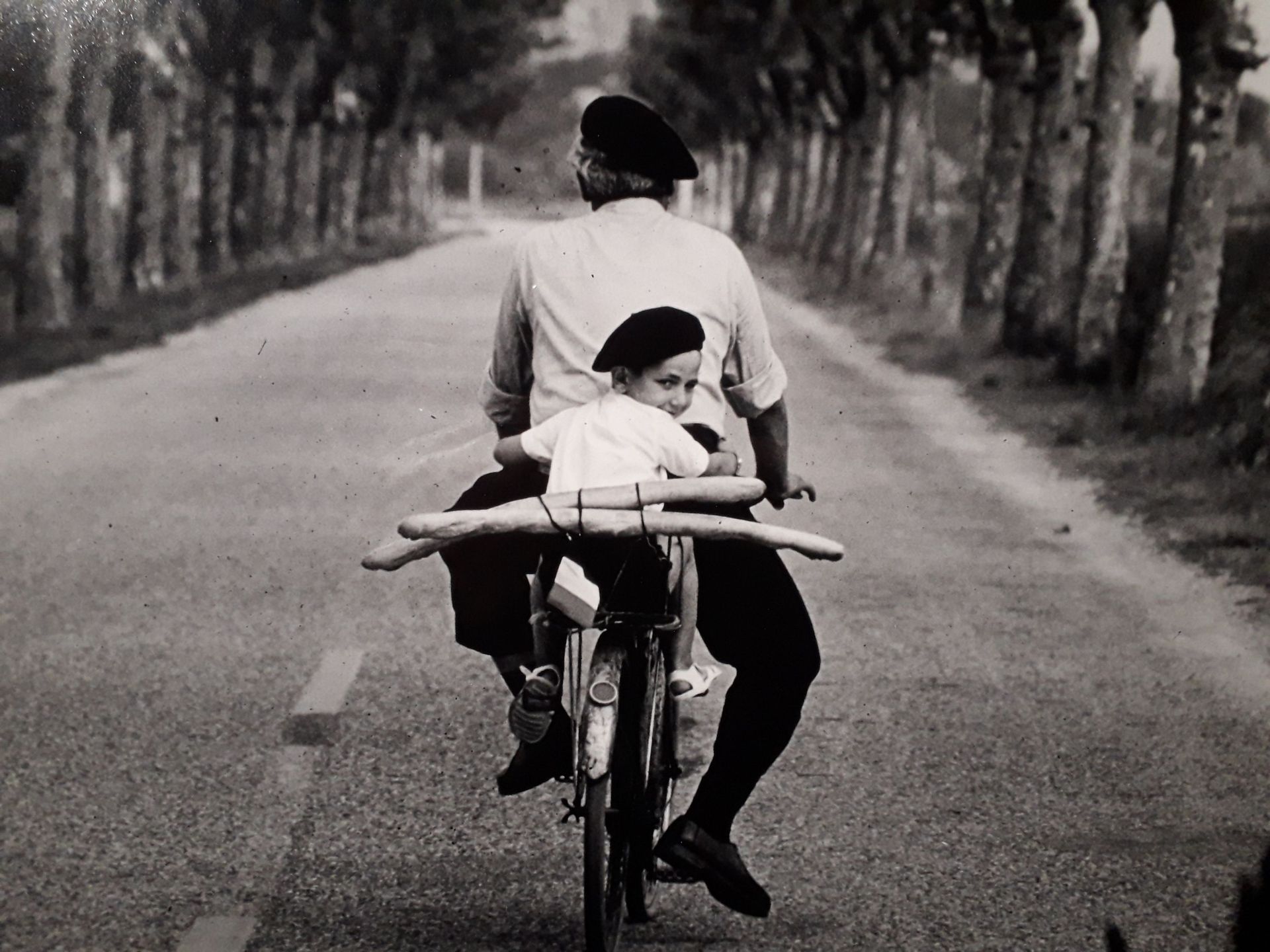 Elliott Erwitt - Magnum Photos