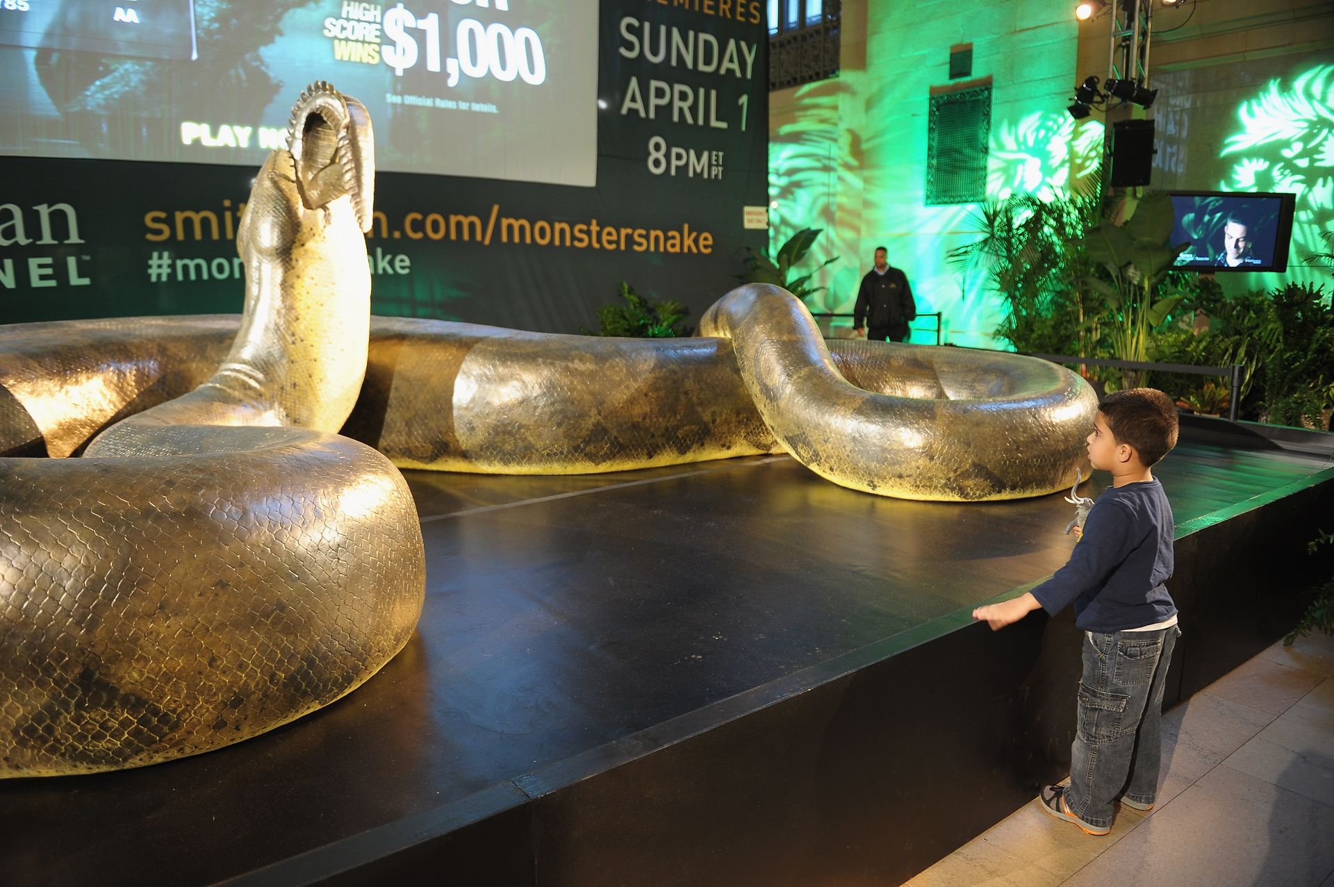 Titanoboa Le Plus Grand Serpent Du Monde Le Titanoboa, ce serpent préhistorique de 14 mètres de long - rtbf.be