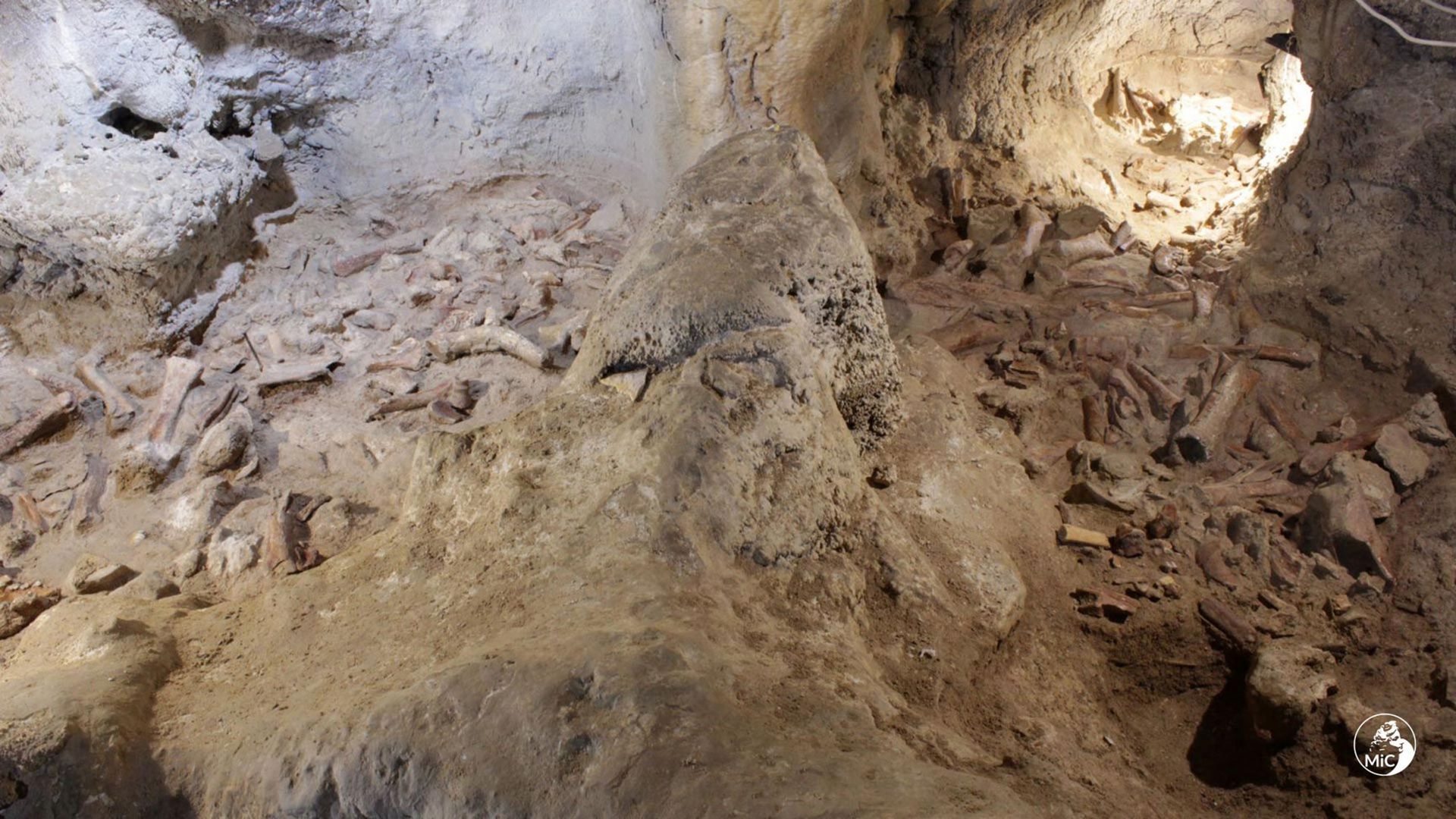 Archéologie : les restes de neuf Néandertaliens découverts dans une grotte italienne (photos)