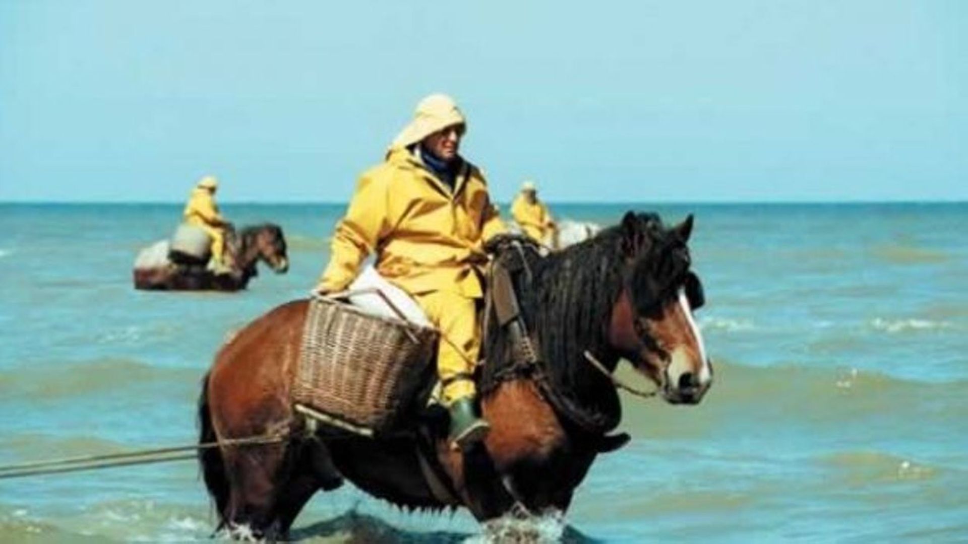 Une deuxième femme pêche à dos de cheval à Oostduinkerke : pourquoi c'est révolutionnaire 