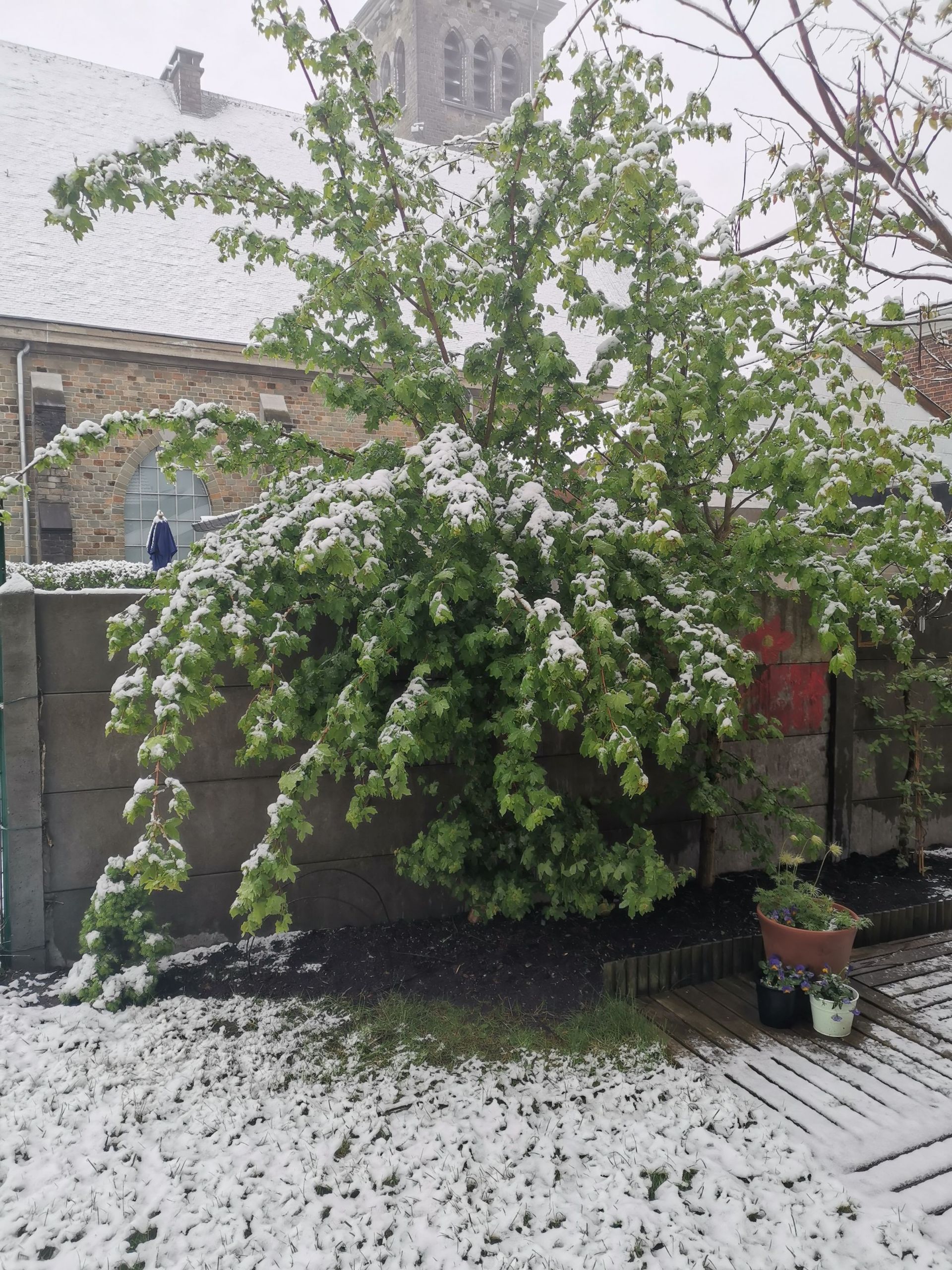 Il neige sur la région liégeoise ce samedi matin