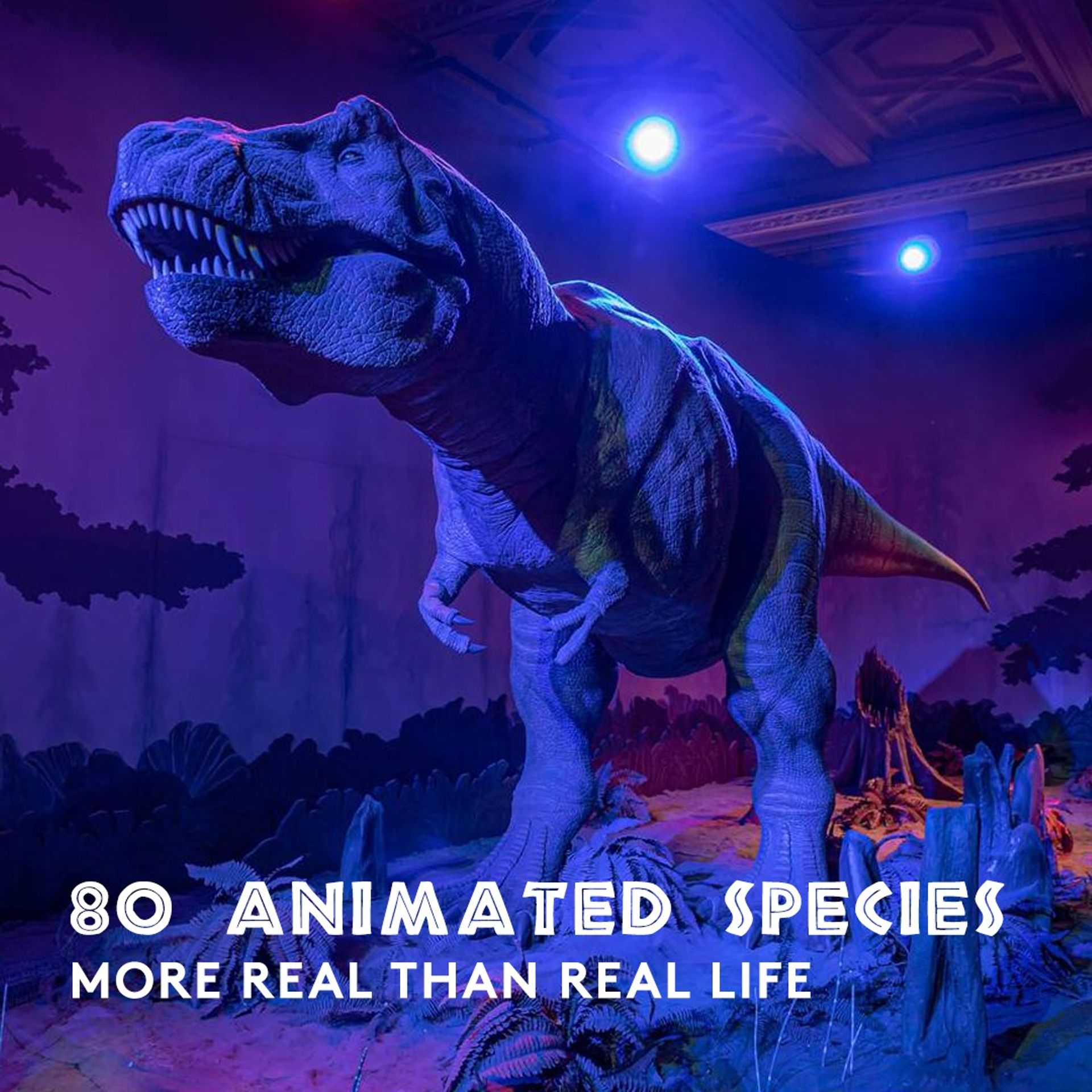 Tour et taxi dinos alive Outlet