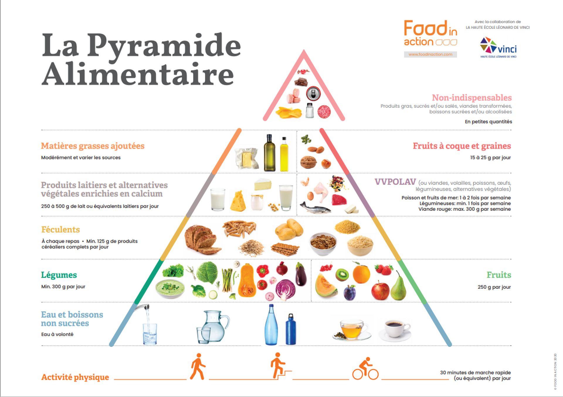 La Pyramide Alimentaire 2020, développée par Food in Action et le département diététique de l’Institut Paul Lambin – Haute École Léonard de Vinci