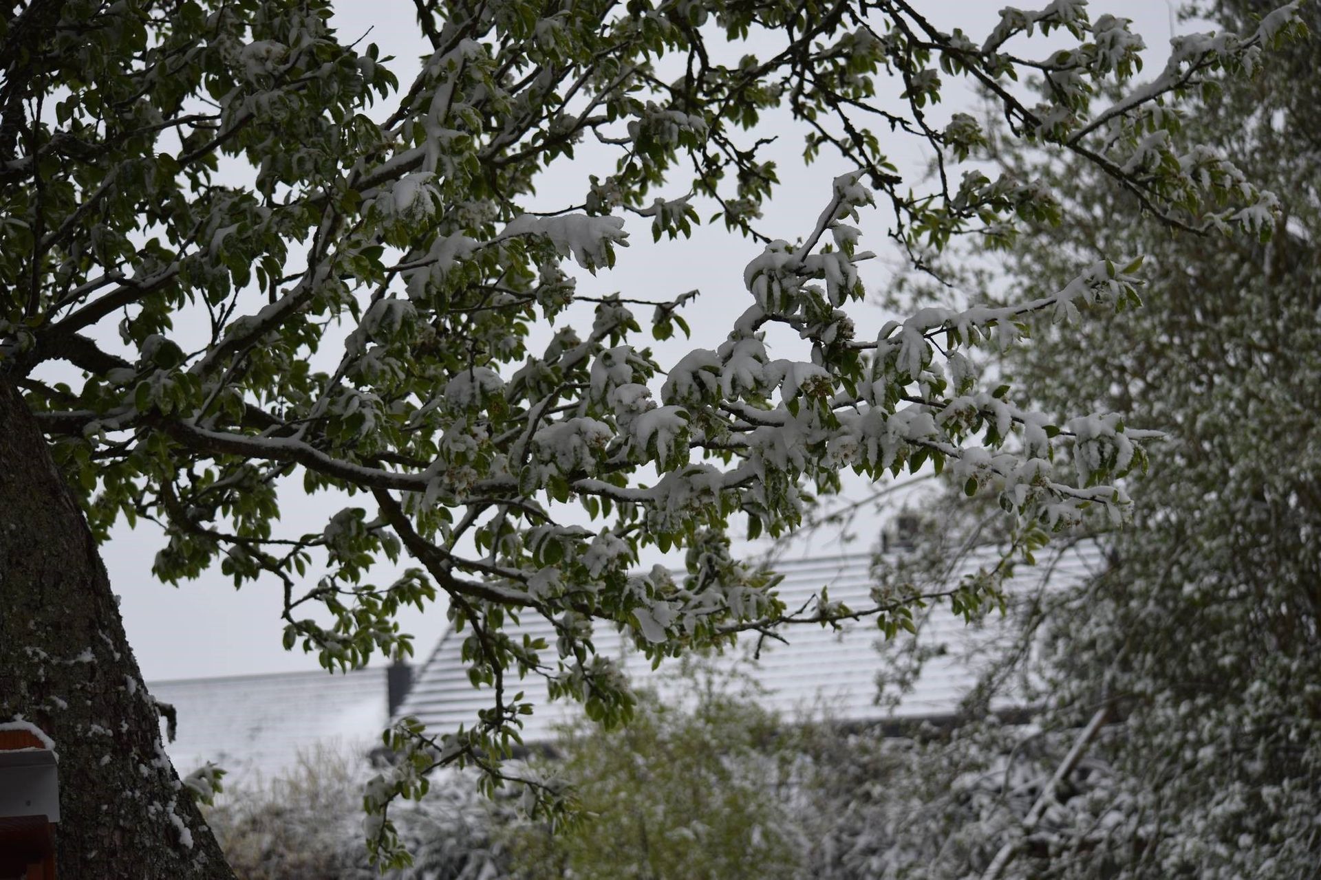 La neige est une bonne raison de sortir l'appareil photo