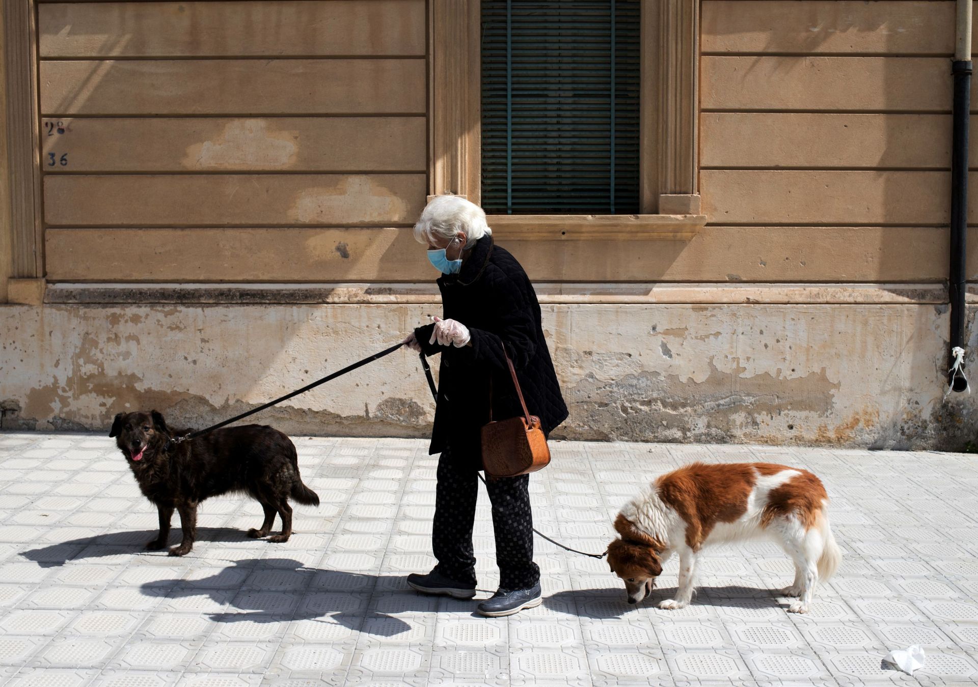 Habitante de Locri promenant ses chiens, le 08 avril 