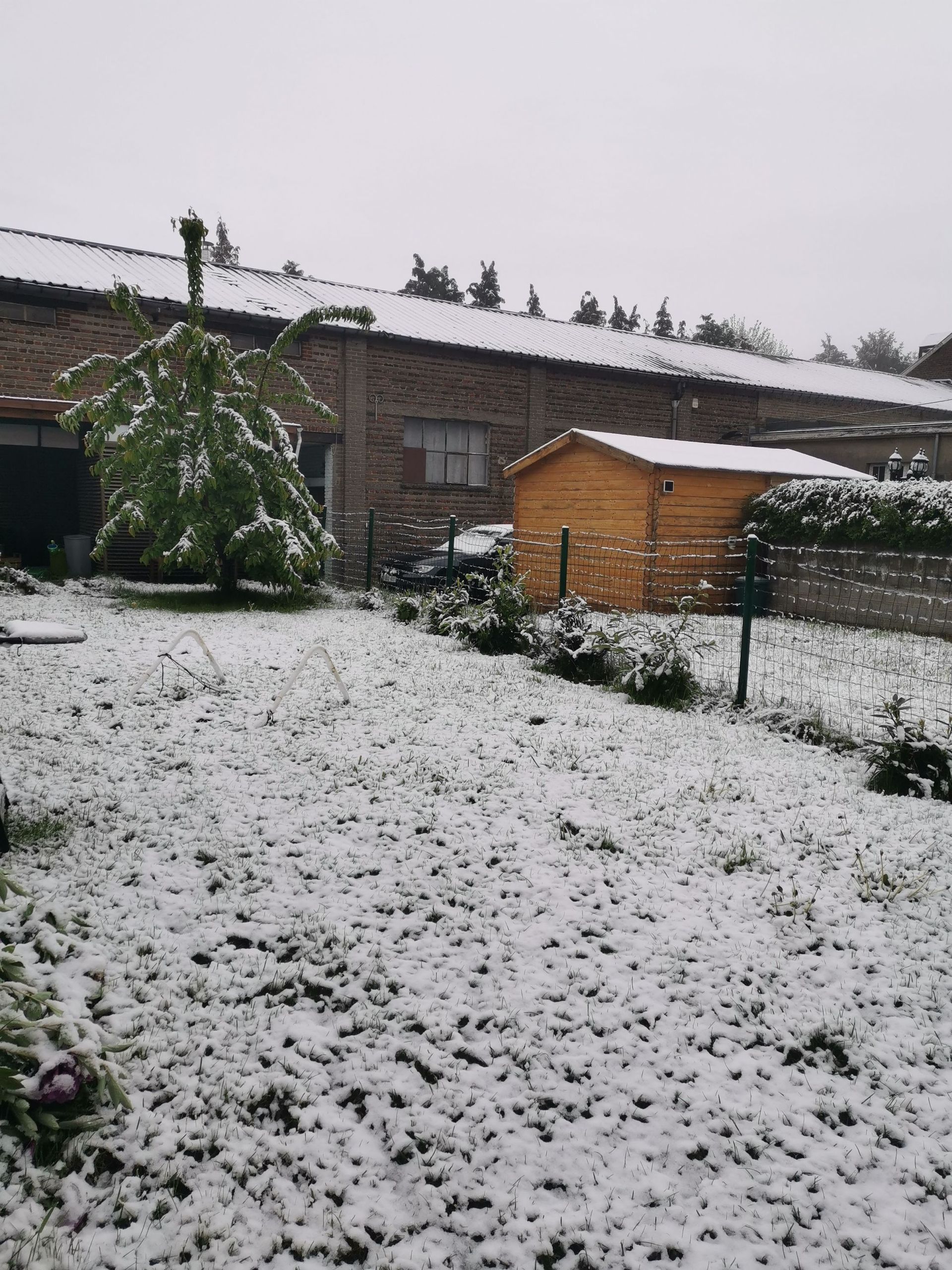 À Liège, les jardin sont blancs