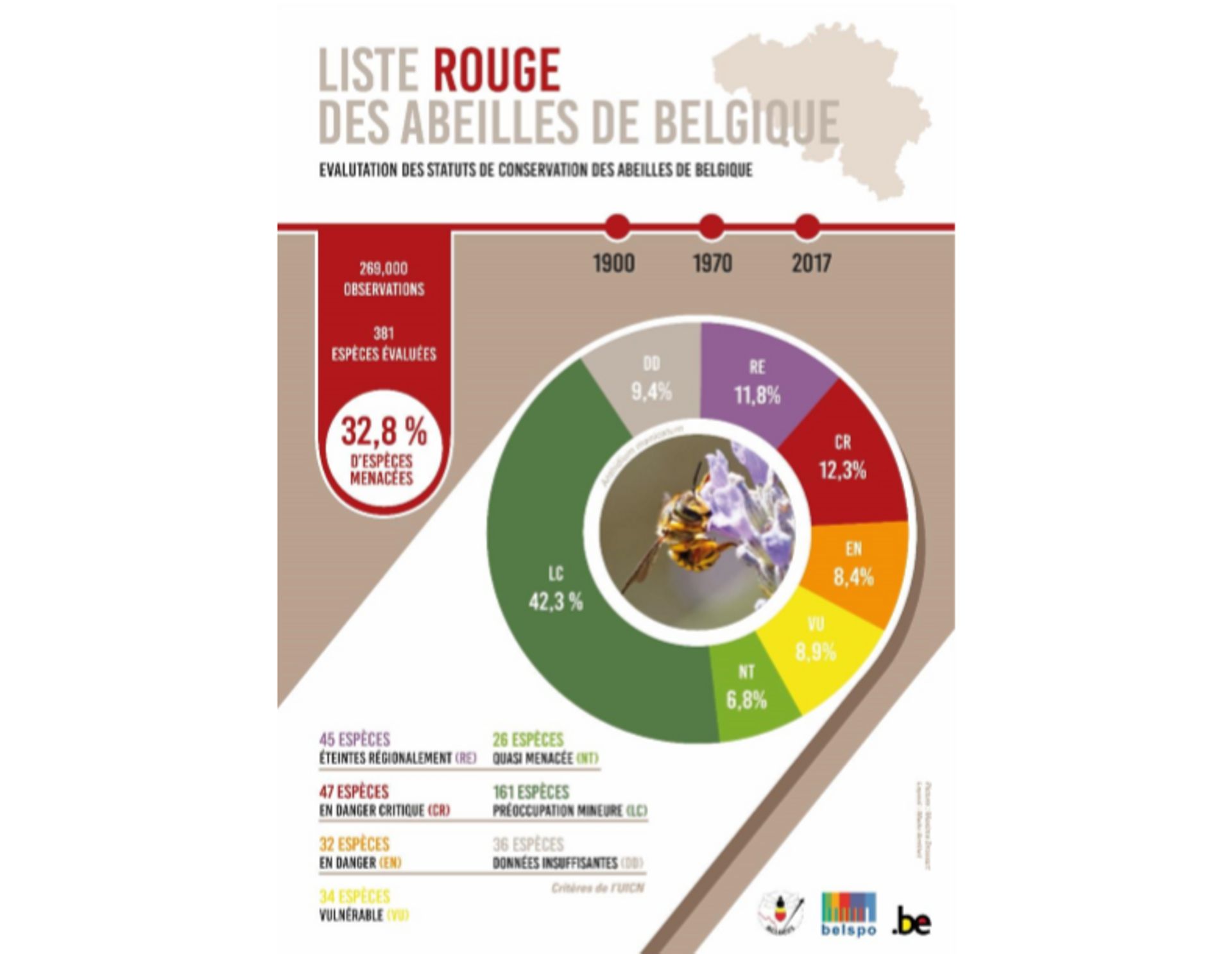 "La liste rouge des abeilles", un rapport alarmant sur les abeilles sauvages de Belgique