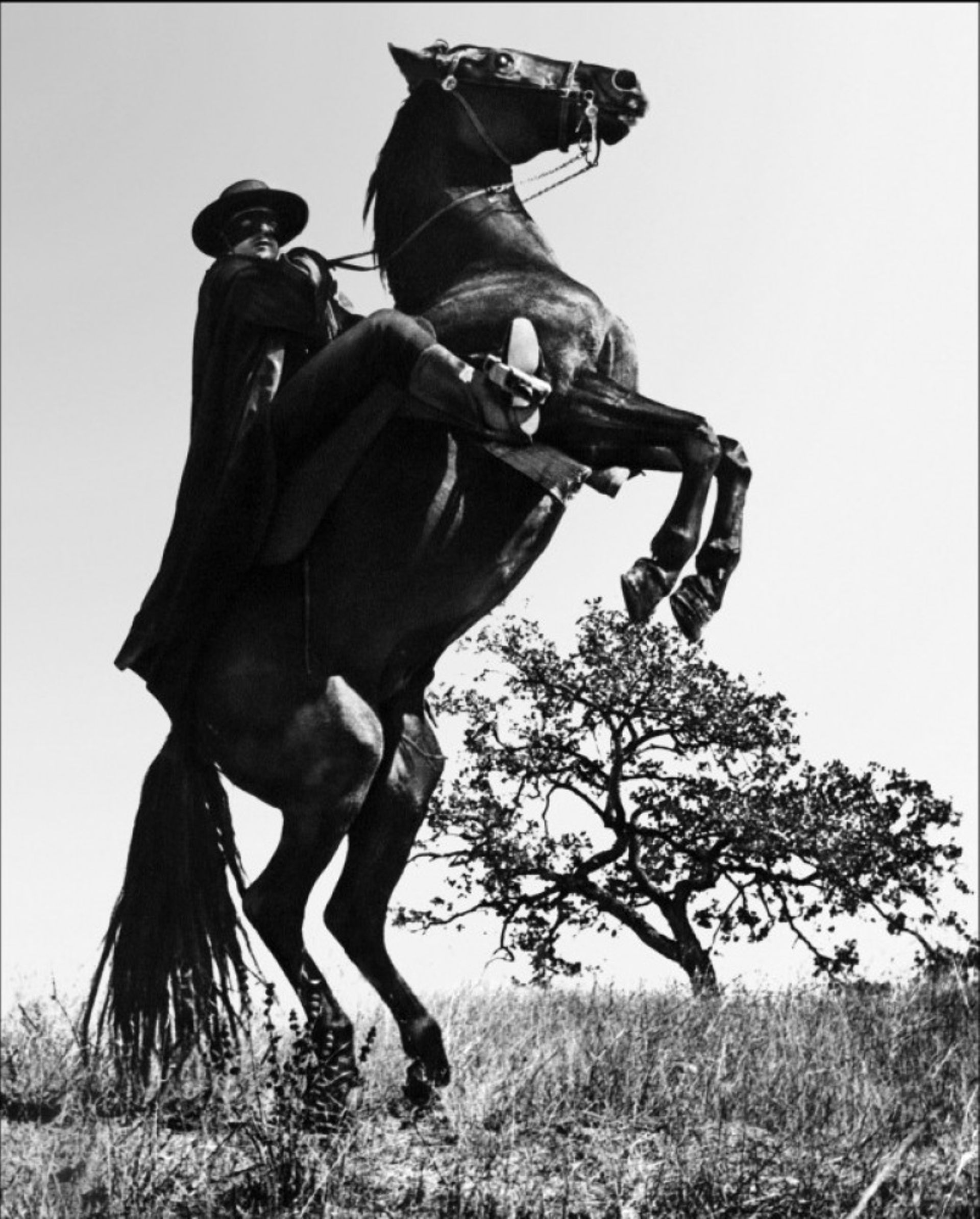 Comment S Appelle Le Cheval De Zorro Un remake de Zorro en préparation - rtbf.be