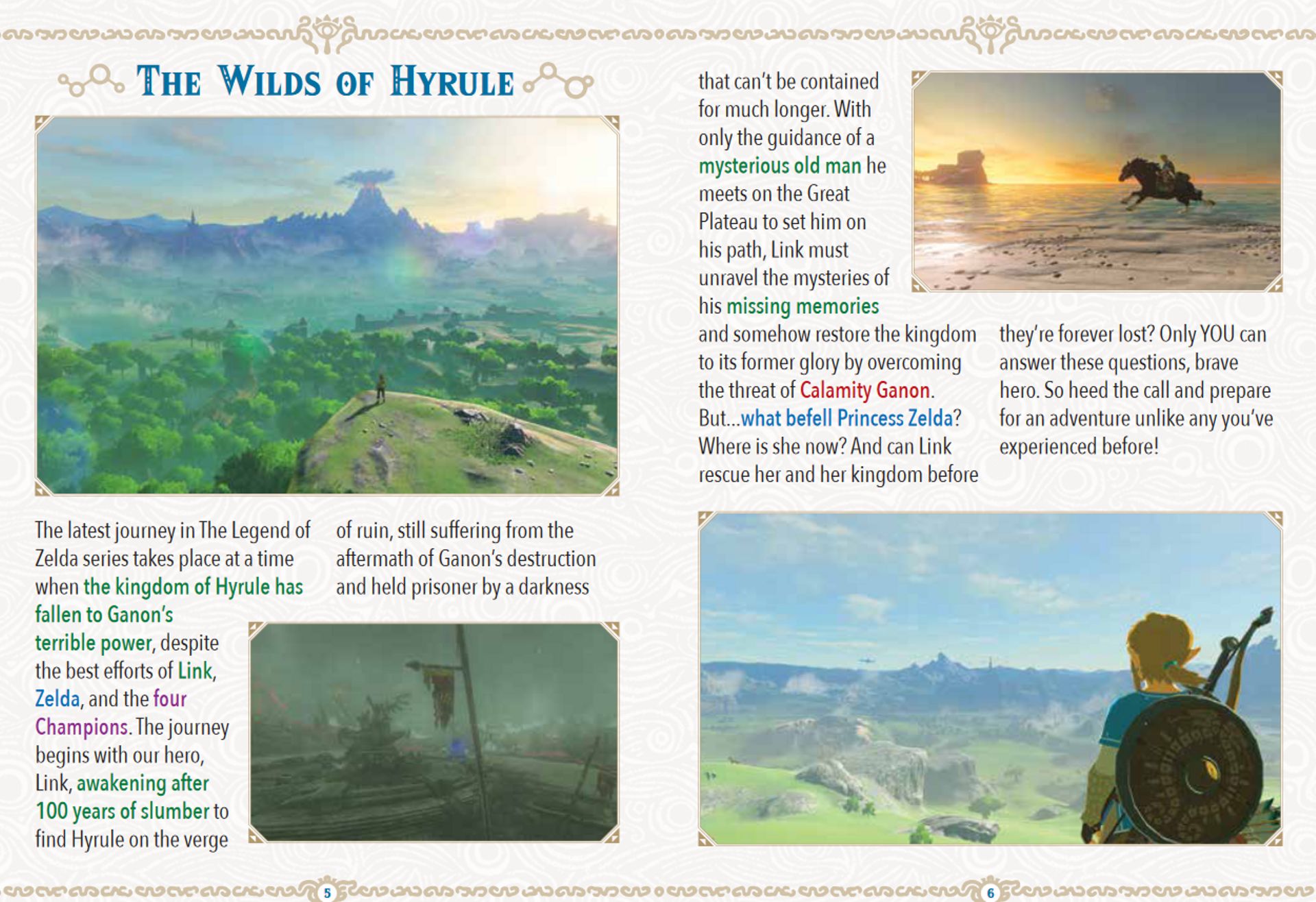 Pourquoi un guide de 'Zelda : Breath of the Wild' sort 6 ans après la  sortie du jeu ? 